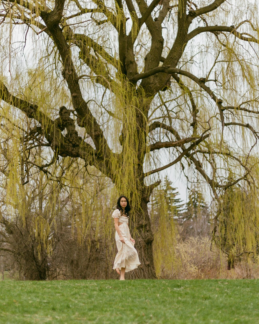 a person standing in front of a tree