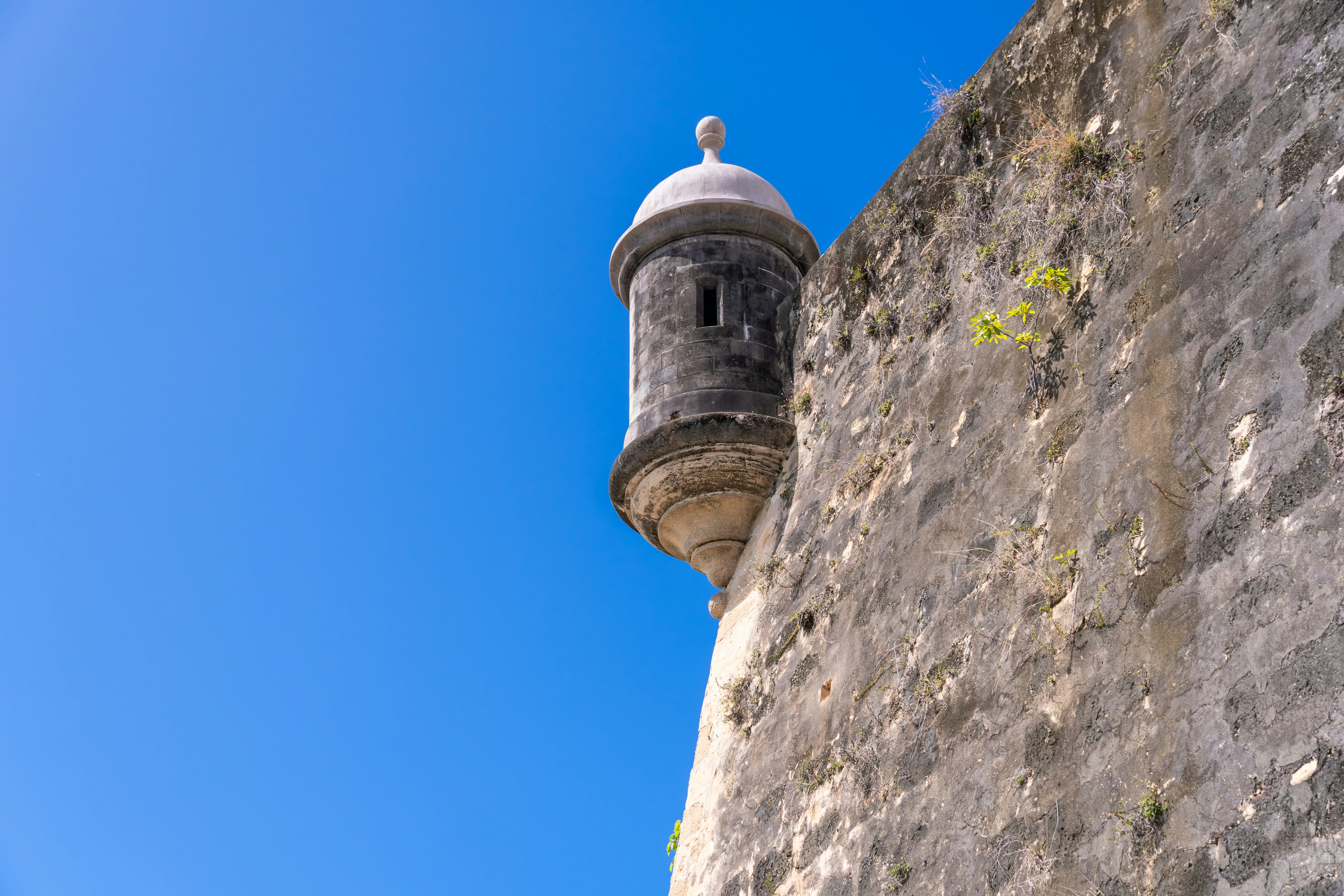 Photo by cuvaphotography