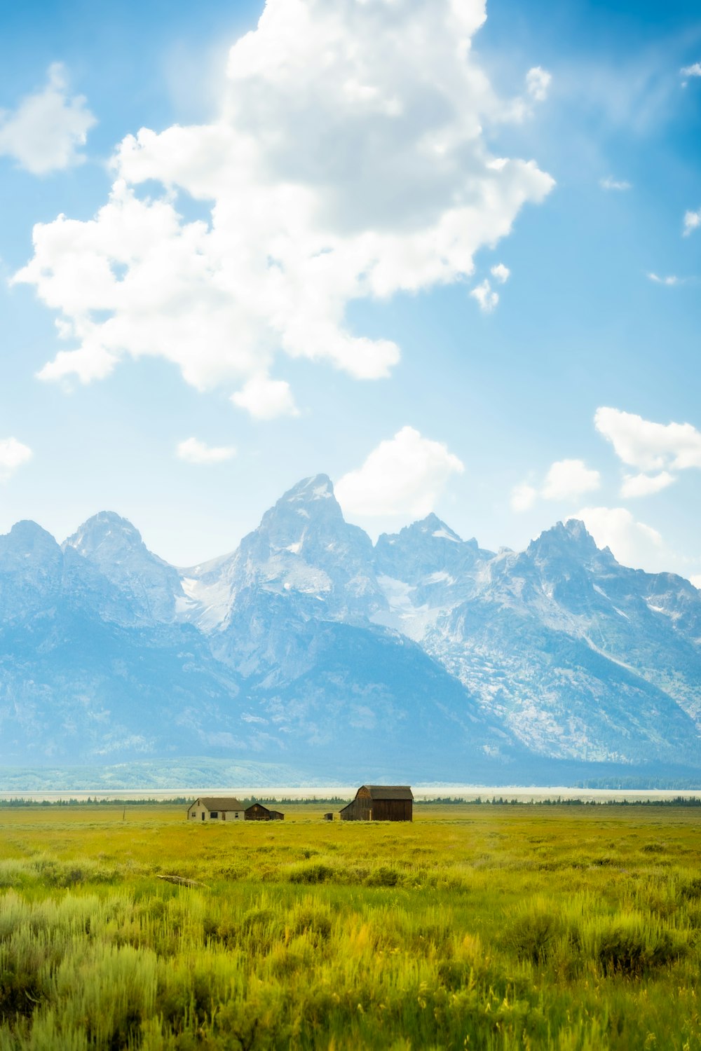 a grassy field with a mountain in the background