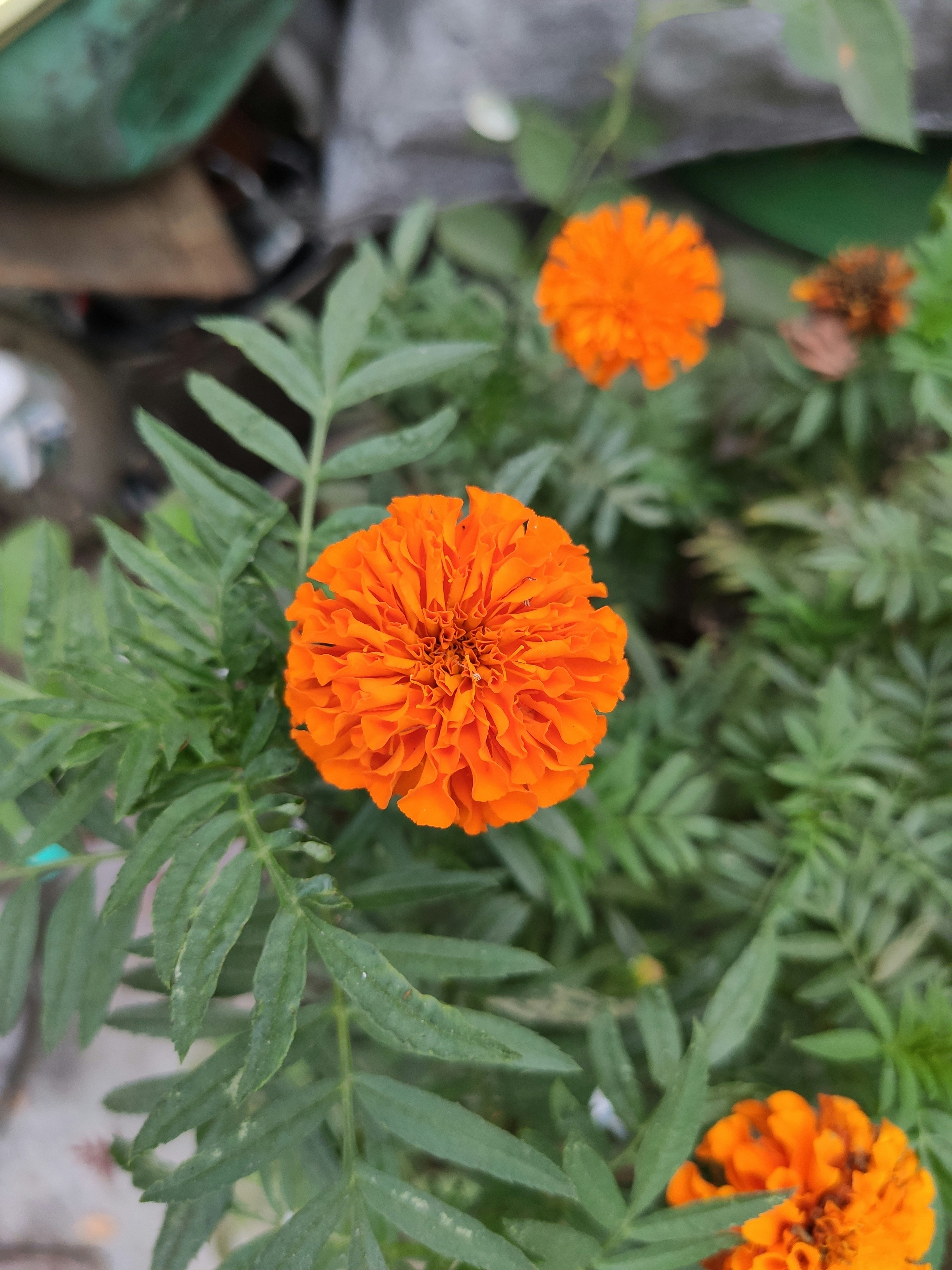 Photo by abhishubham