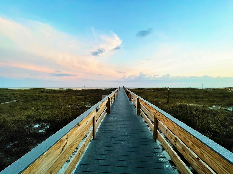 Nature boardwalk near Foley, Alabama