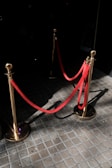 Red velvet ropes are suspended between gold stanchions, placed on a tiled surface. The setting suggests an entrance area, likely to an event or exclusive venue.