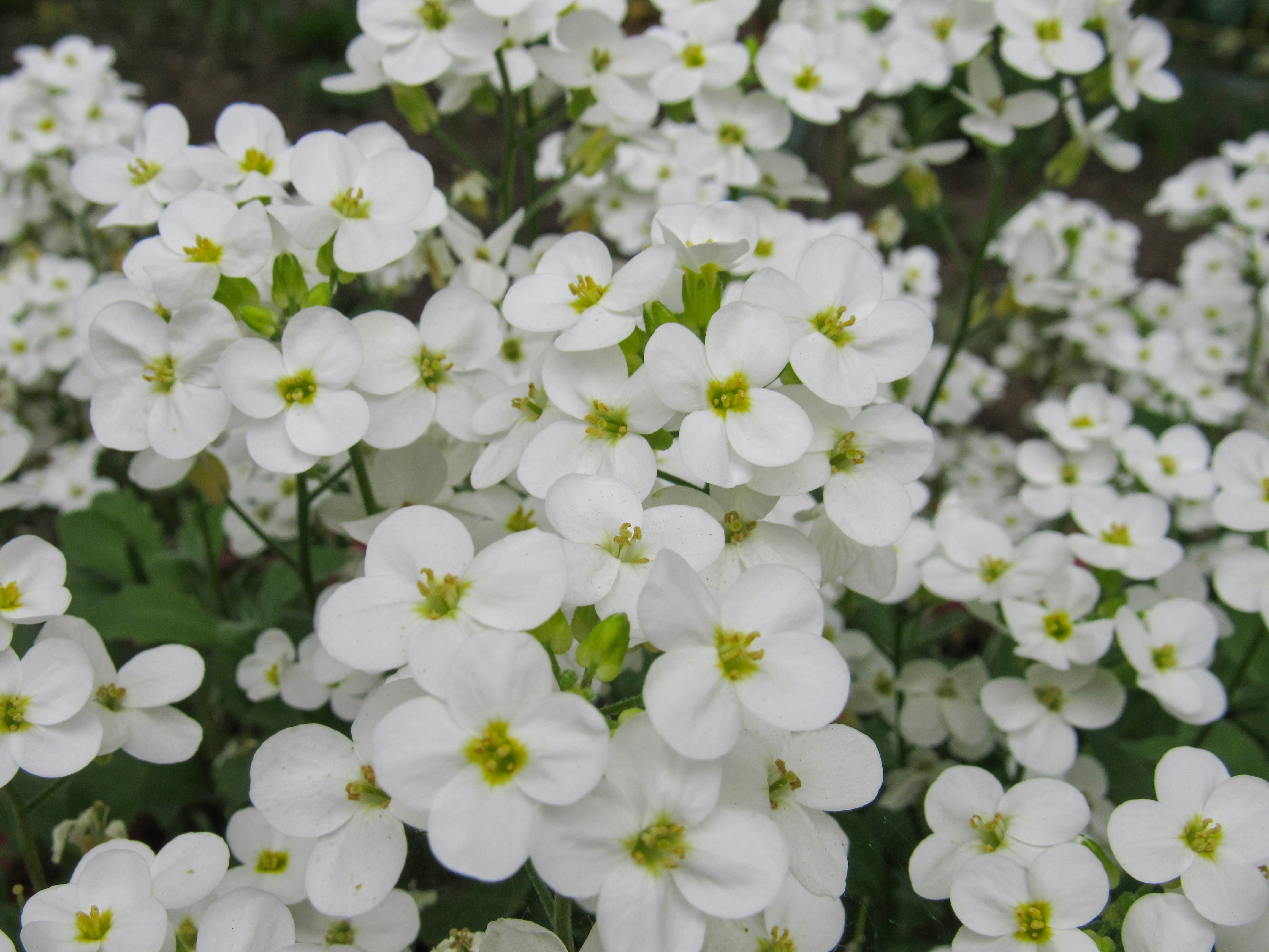 Photo by karyna_panchenko