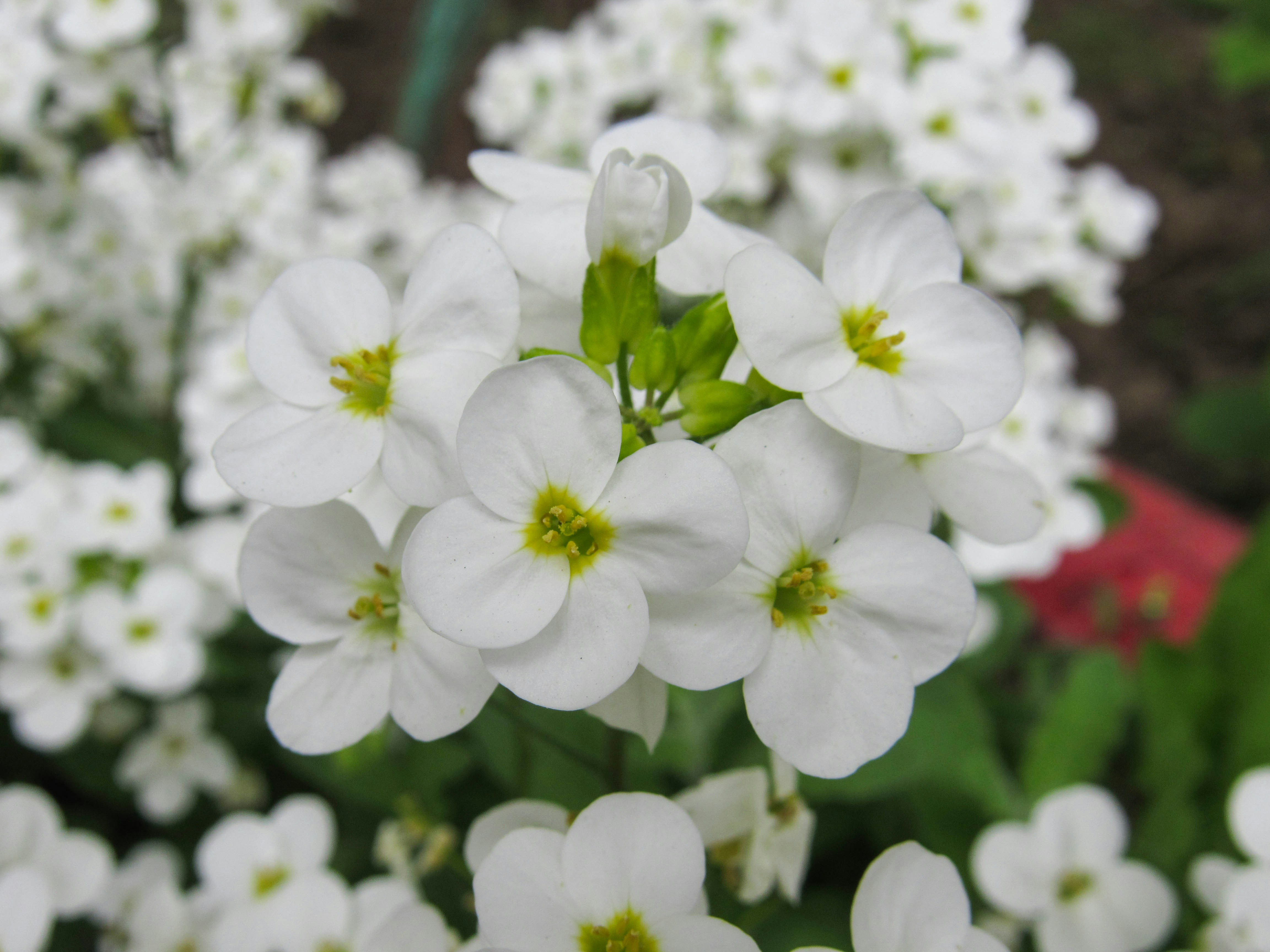 Photo by karyna_panchenko