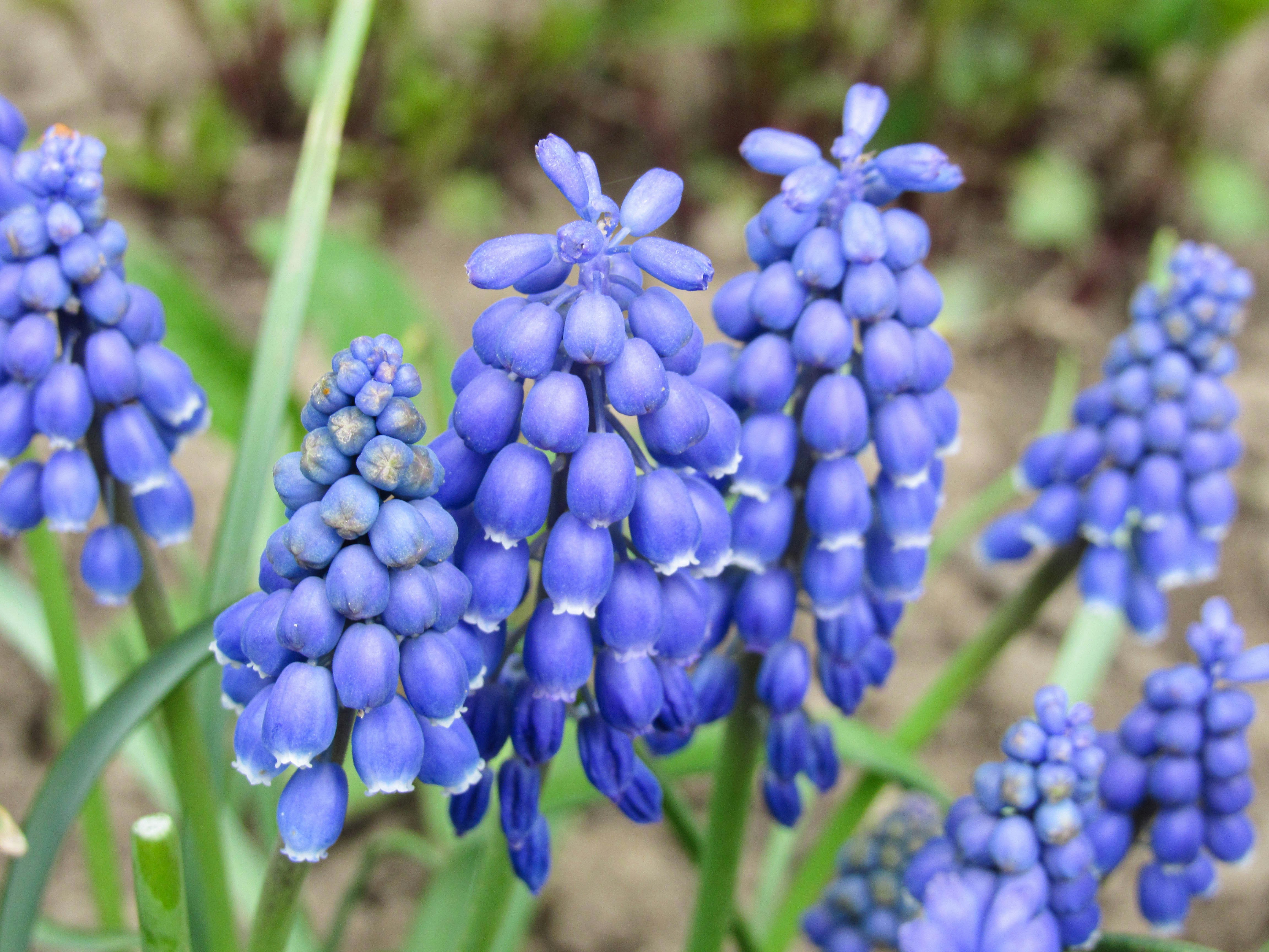 Photo by karyna_panchenko