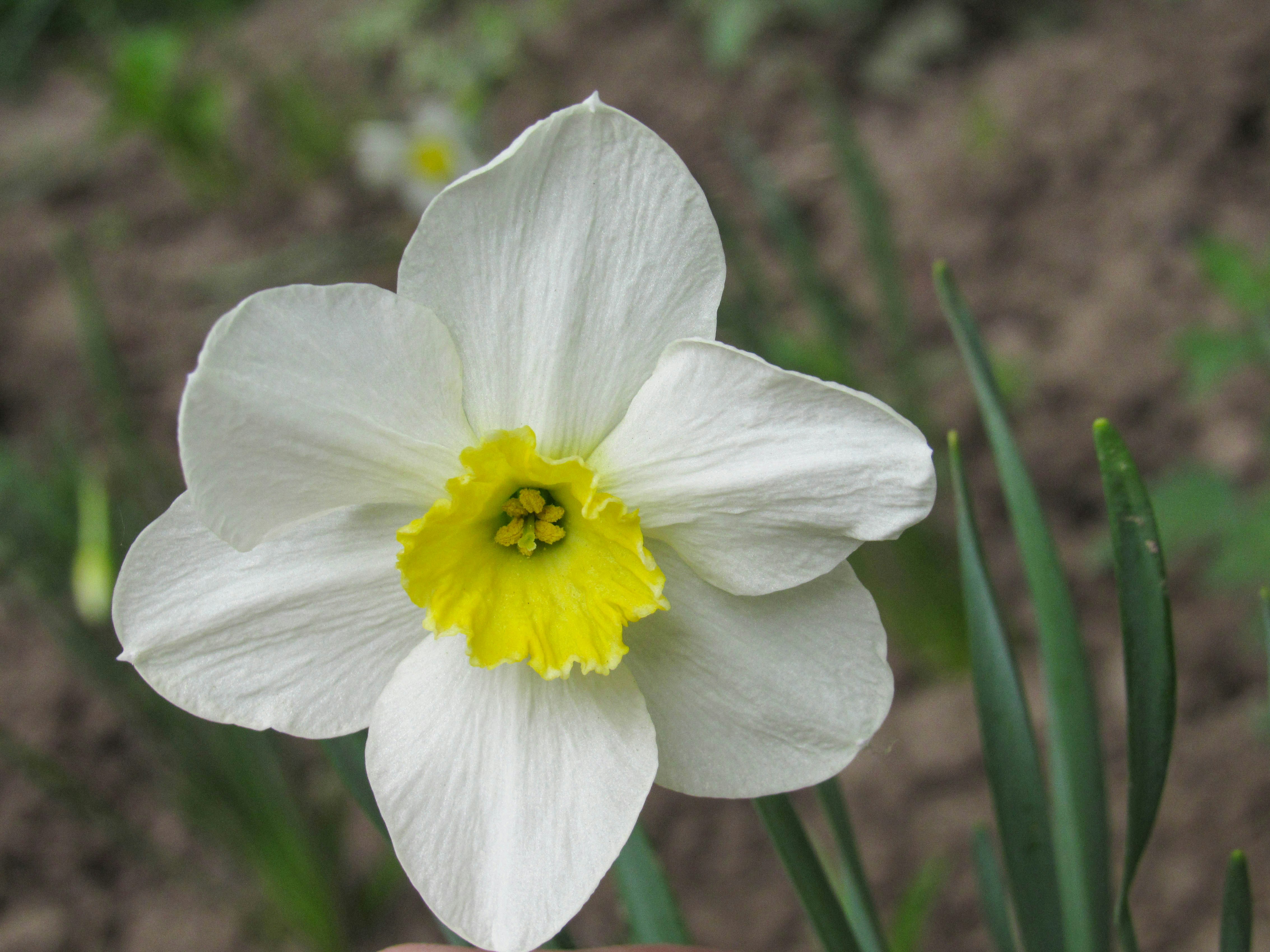 Photo by karyna_panchenko