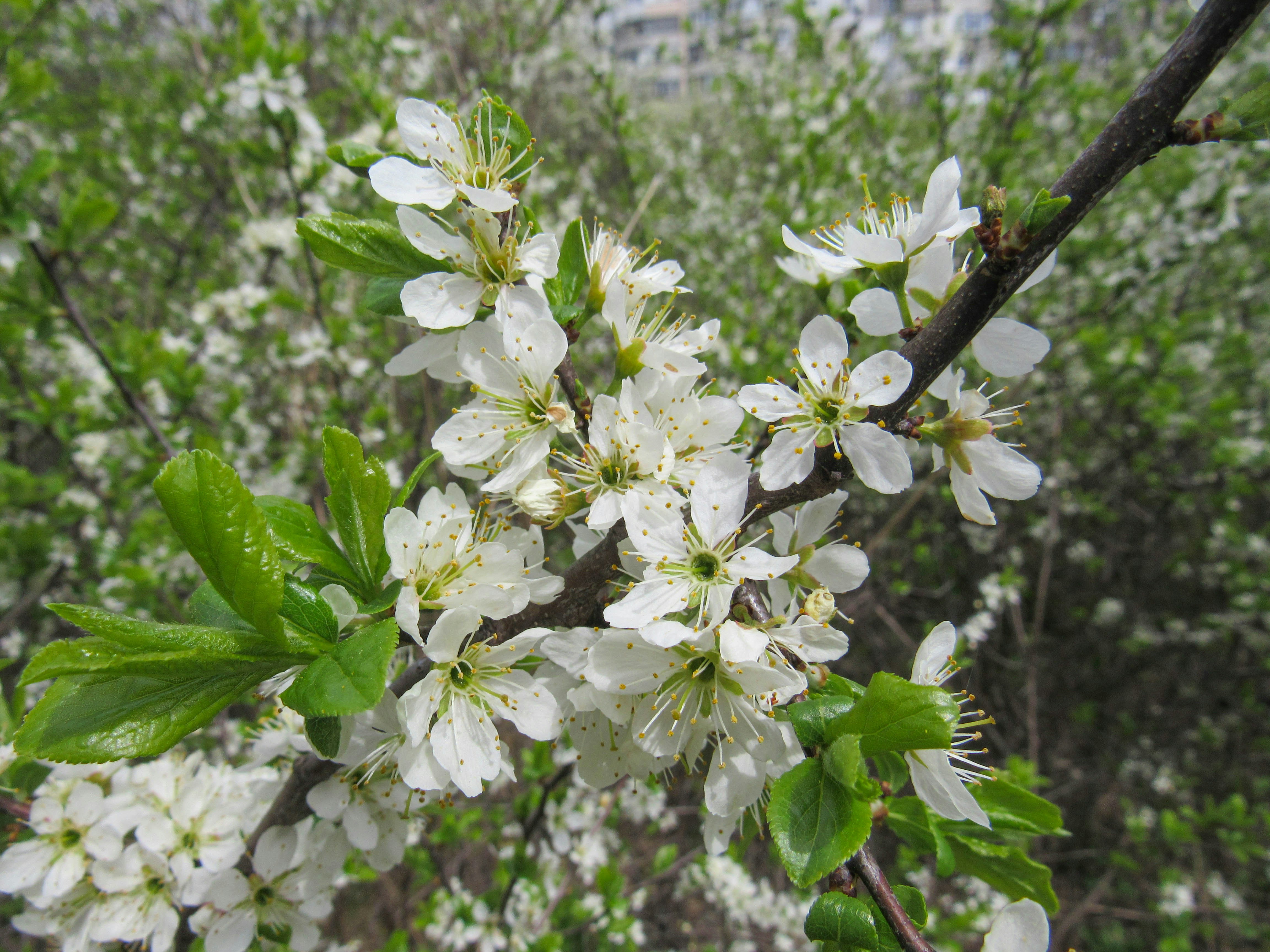 Photo by karyna_panchenko