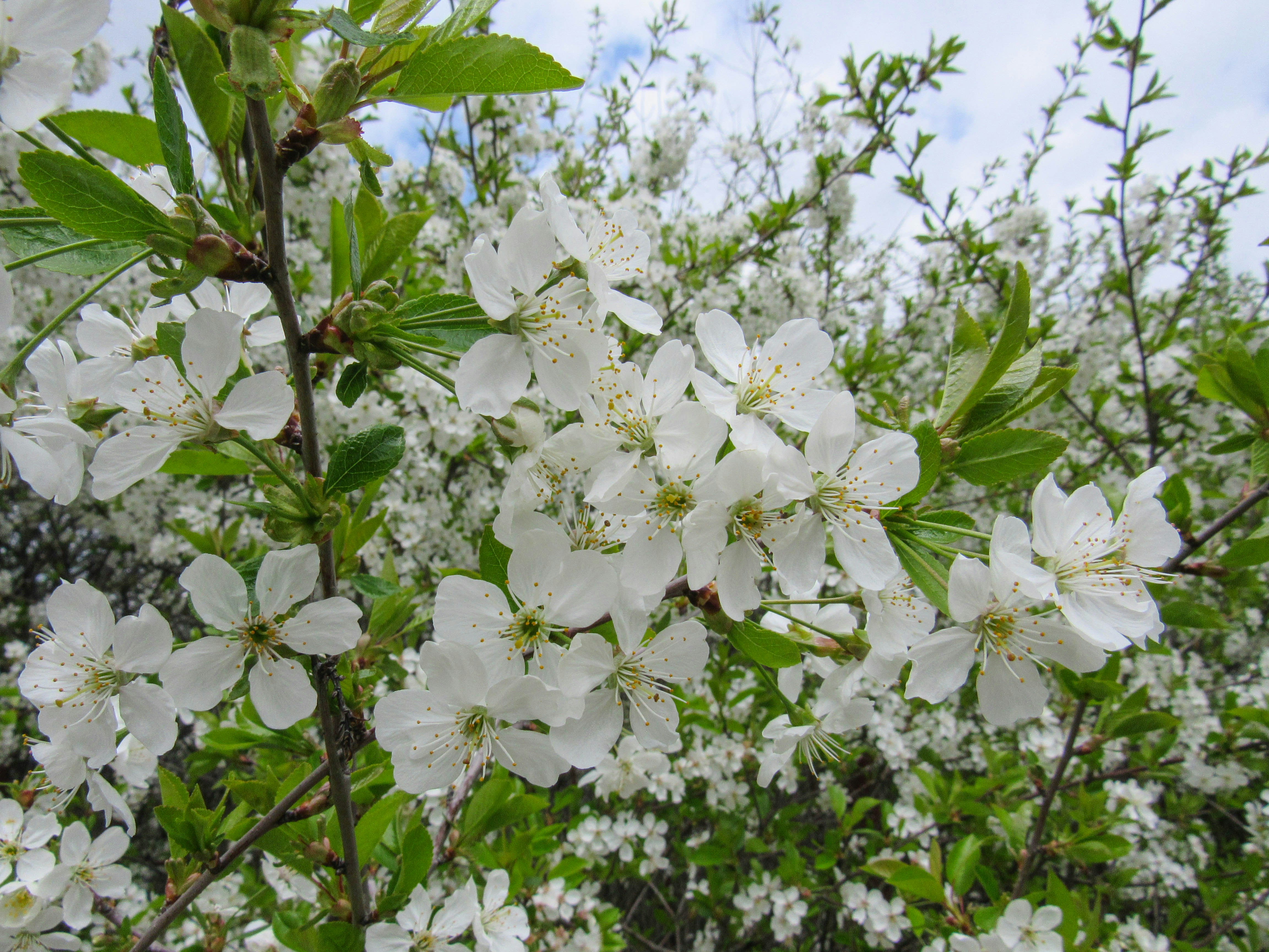 Photo by karyna_panchenko