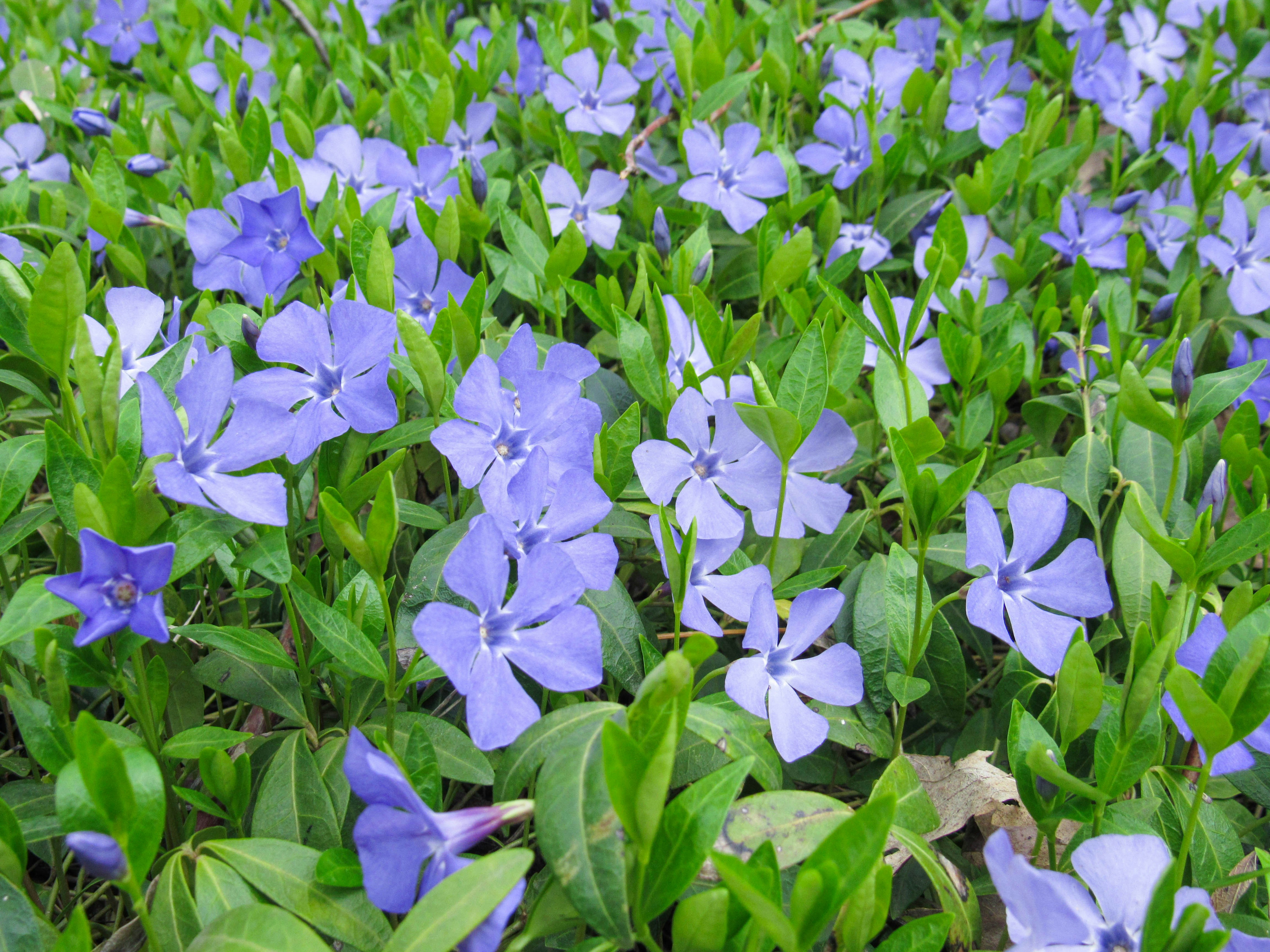 Photo by karyna_panchenko