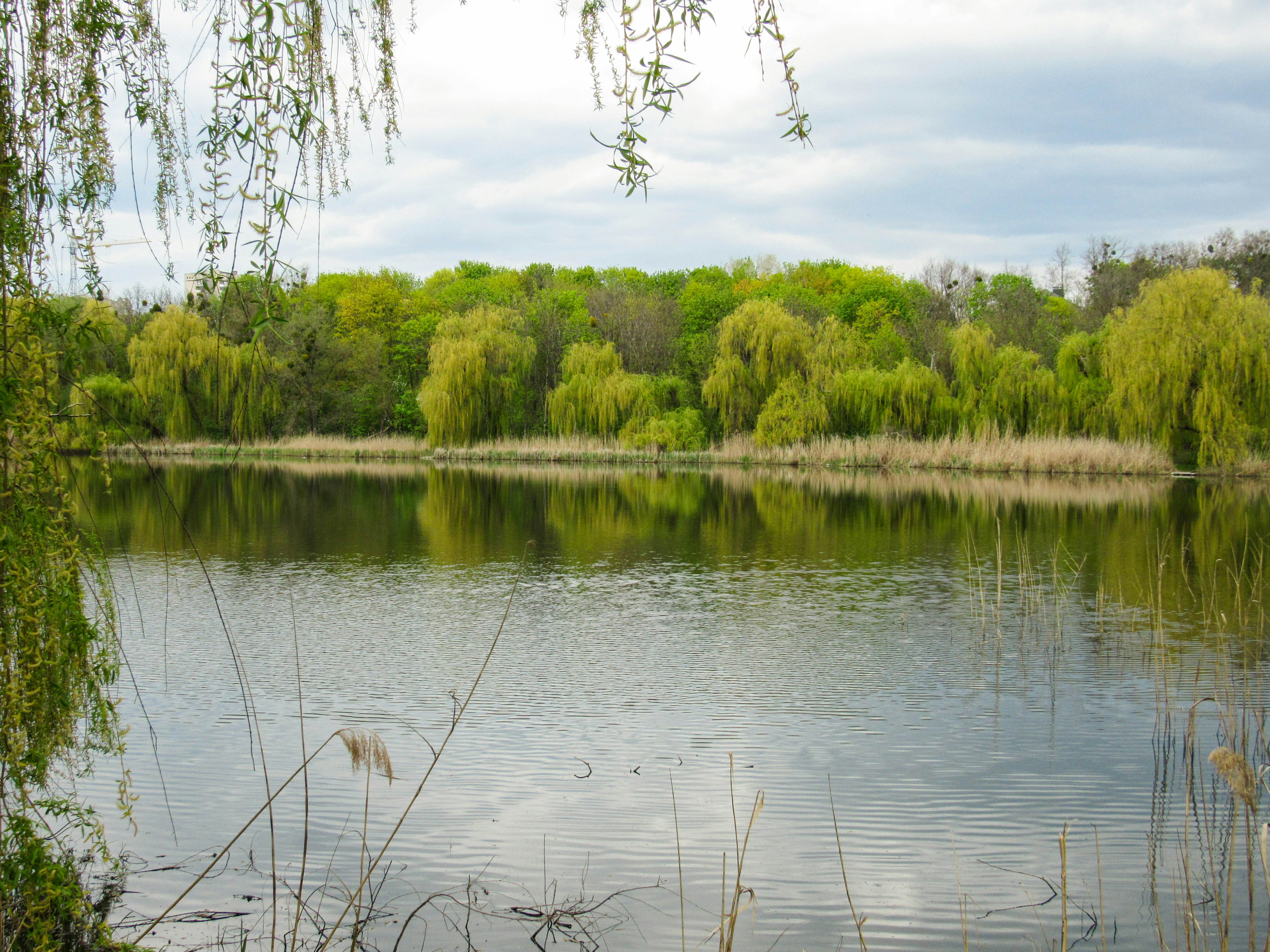 Photo by karyna_panchenko