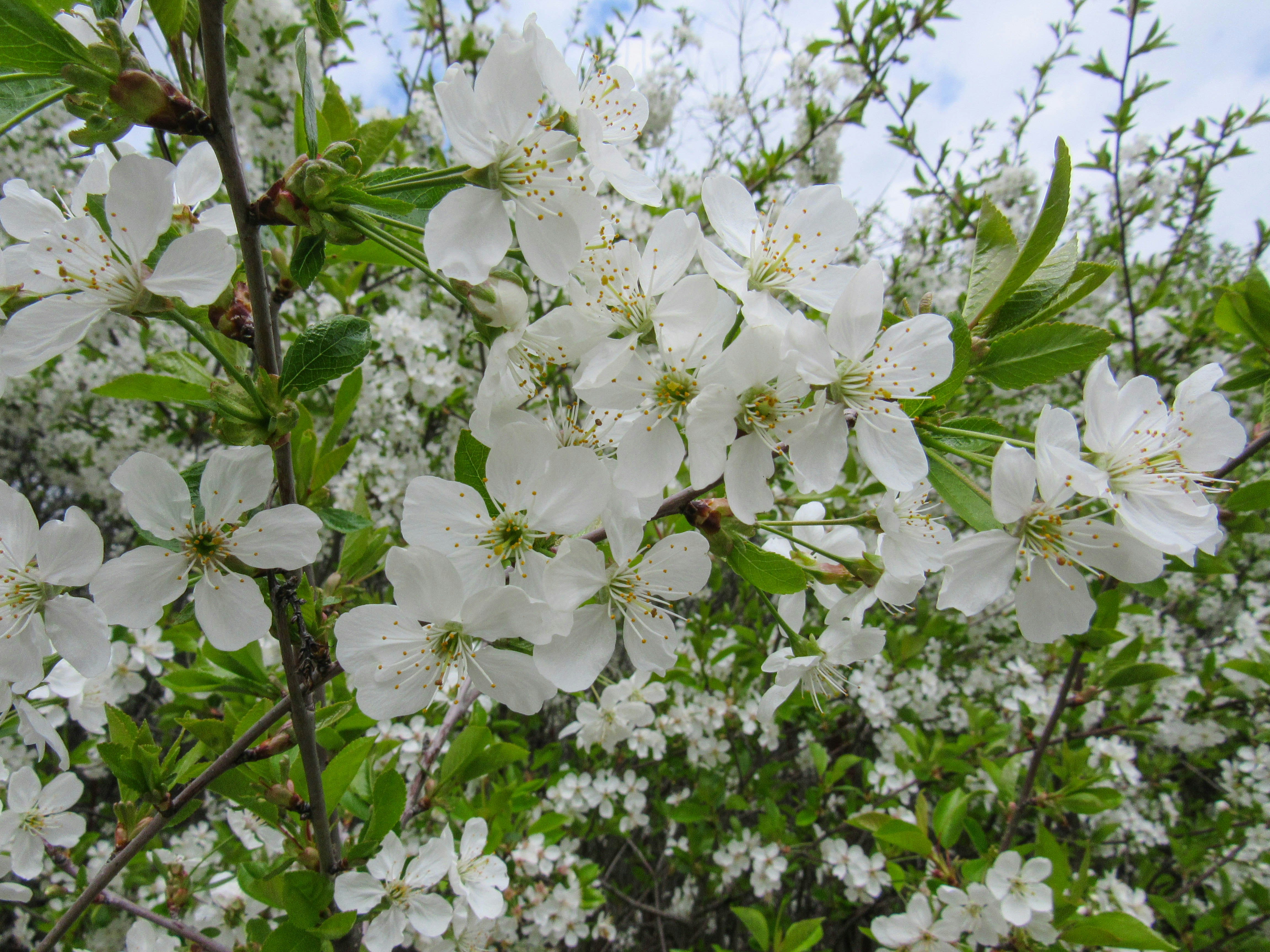 Photo by karyna_panchenko