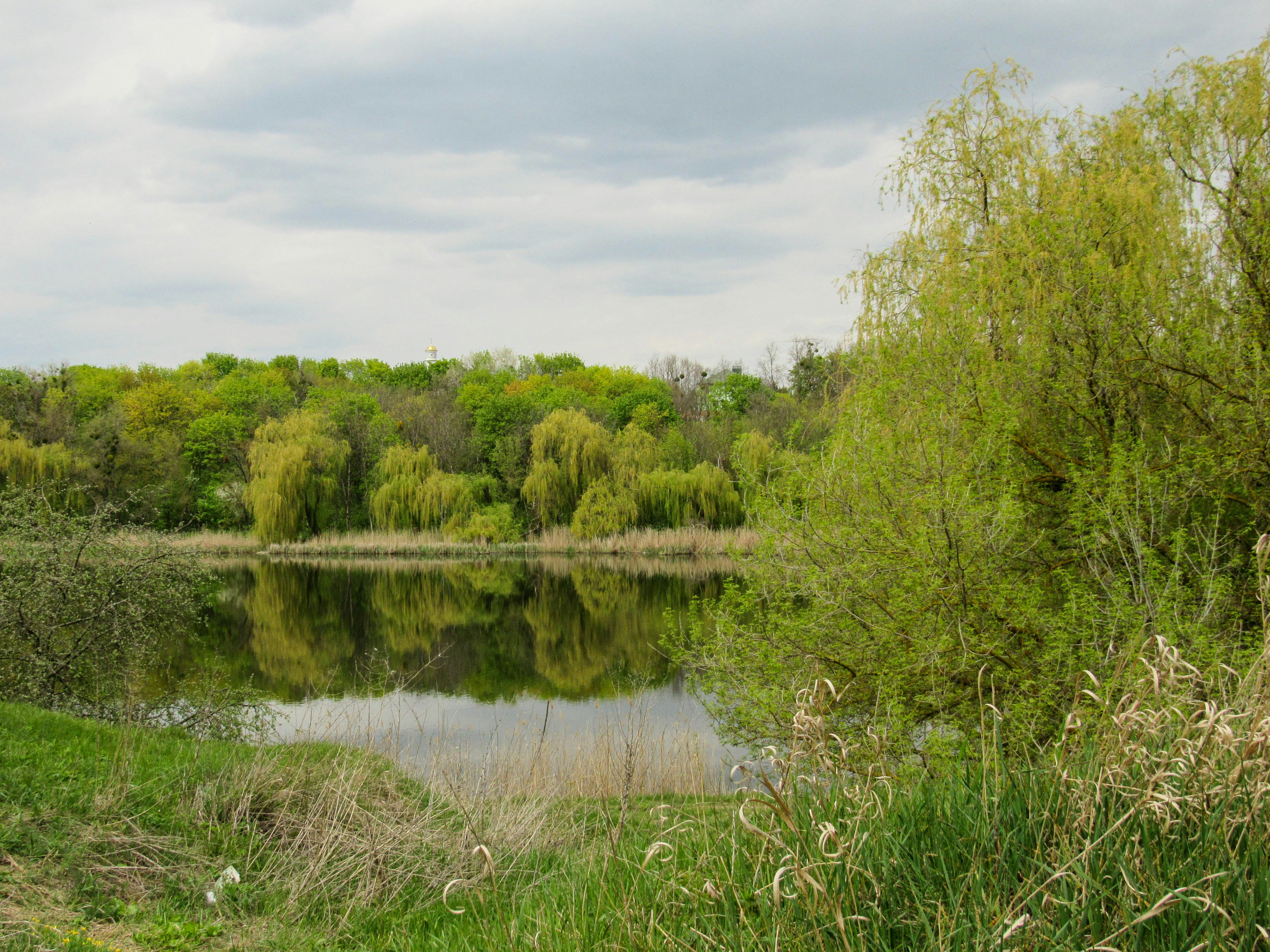 Photo by karyna_panchenko