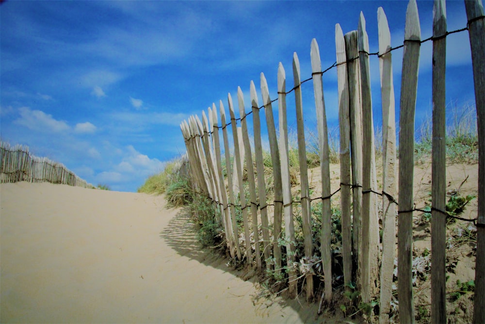 Une rangée de bambous sur une plage de sable