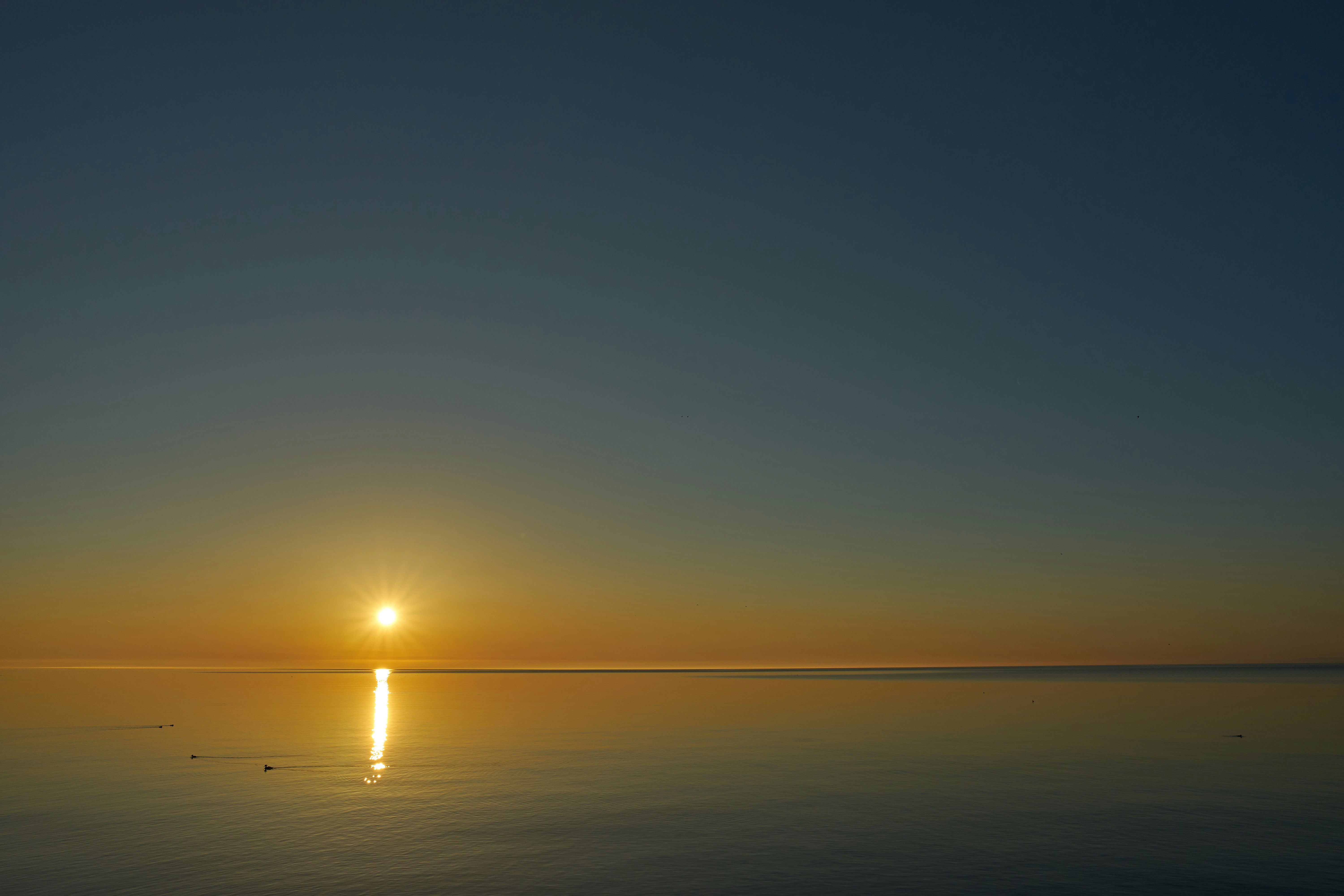 Photo by wolfgang_hasselmann