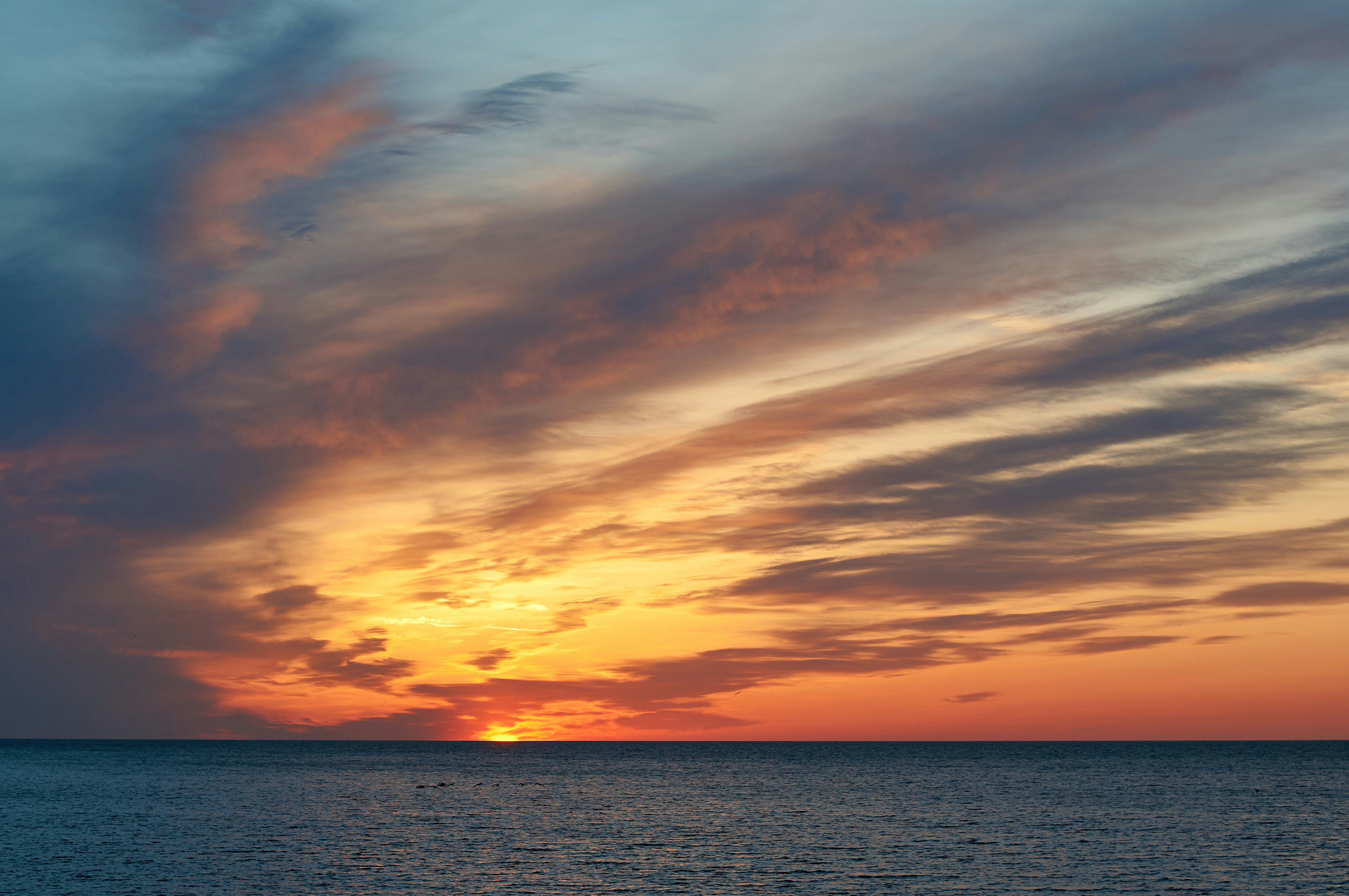 Photo by wolfgang_hasselmann