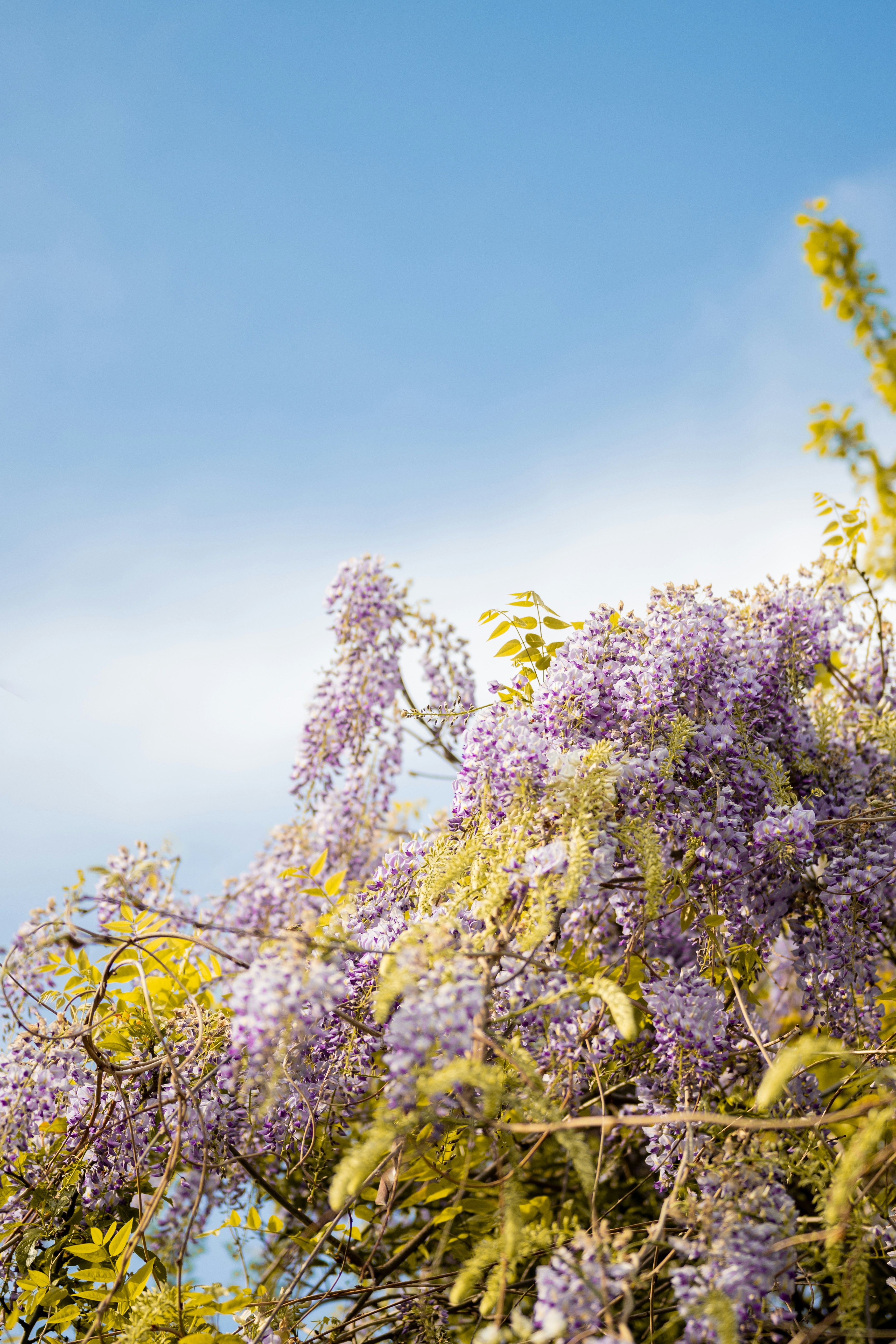 Photo by melanieweidmann_photography