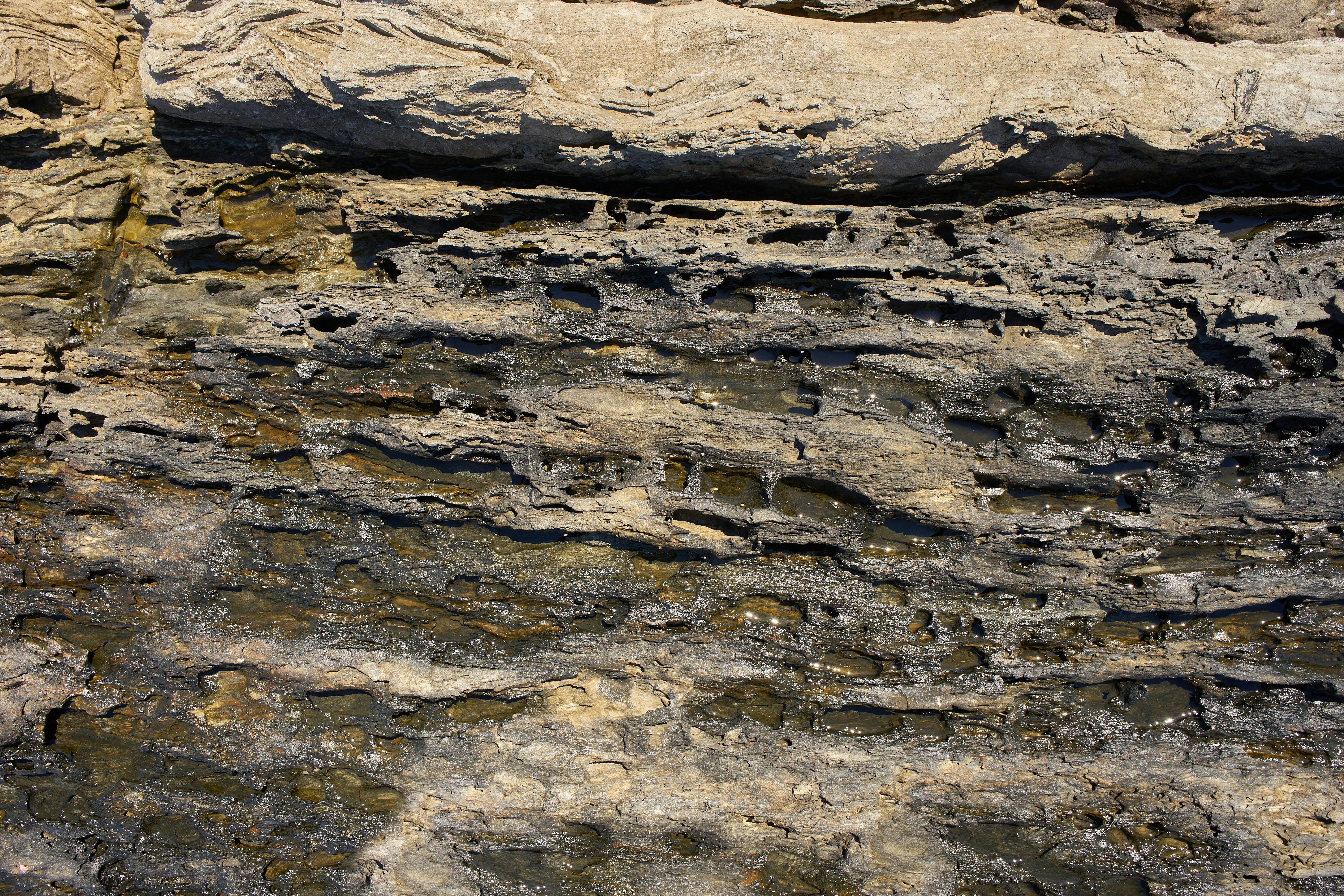 Photo by wolfgang_hasselmann