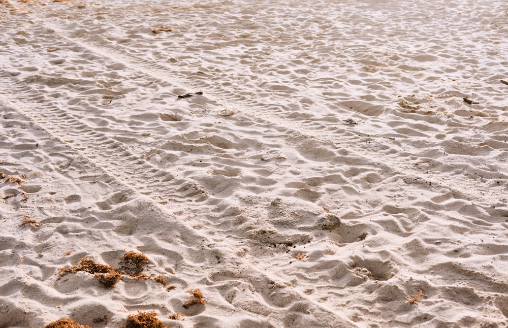 a body of water with rocks and sand