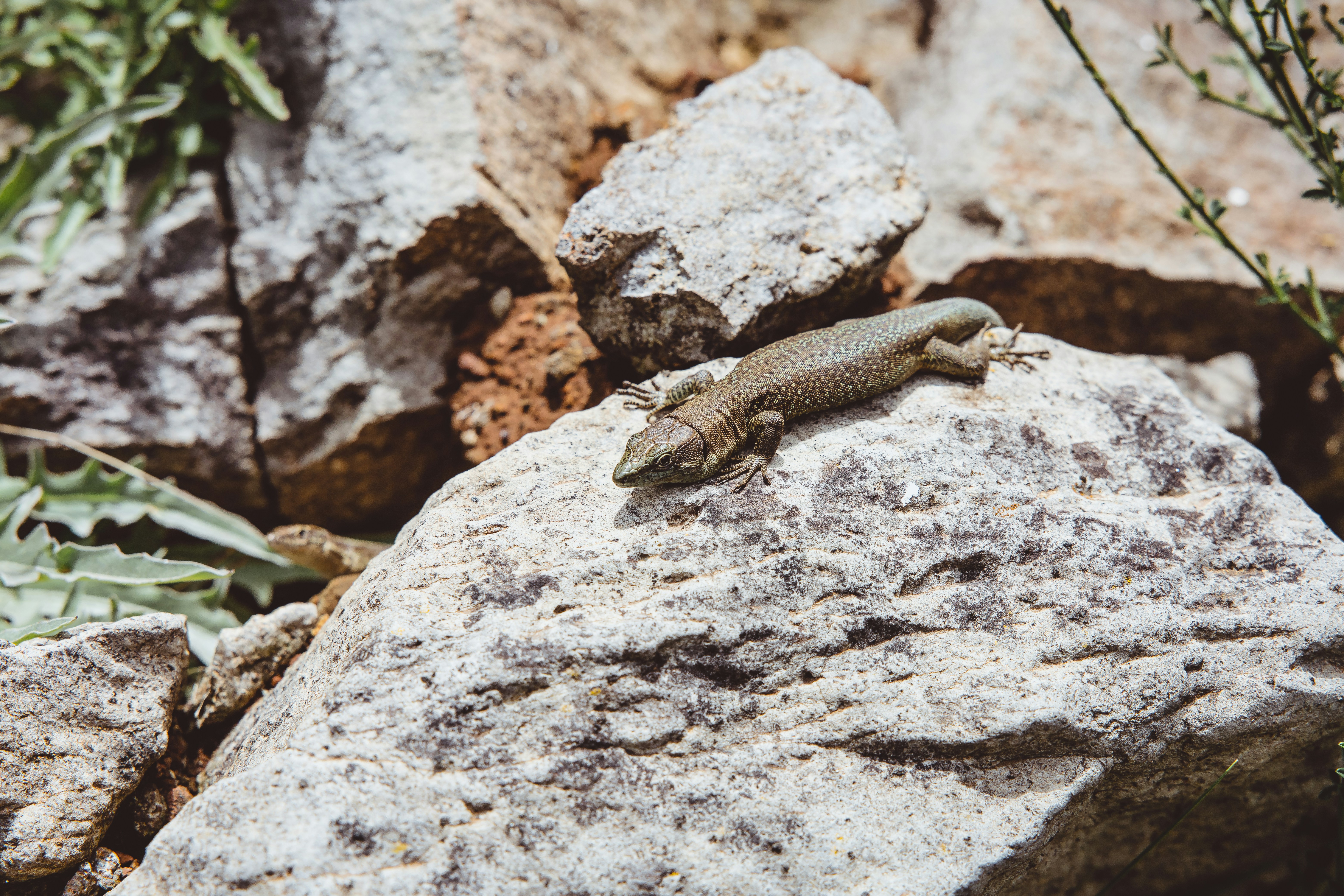 Photo by timonreinhard