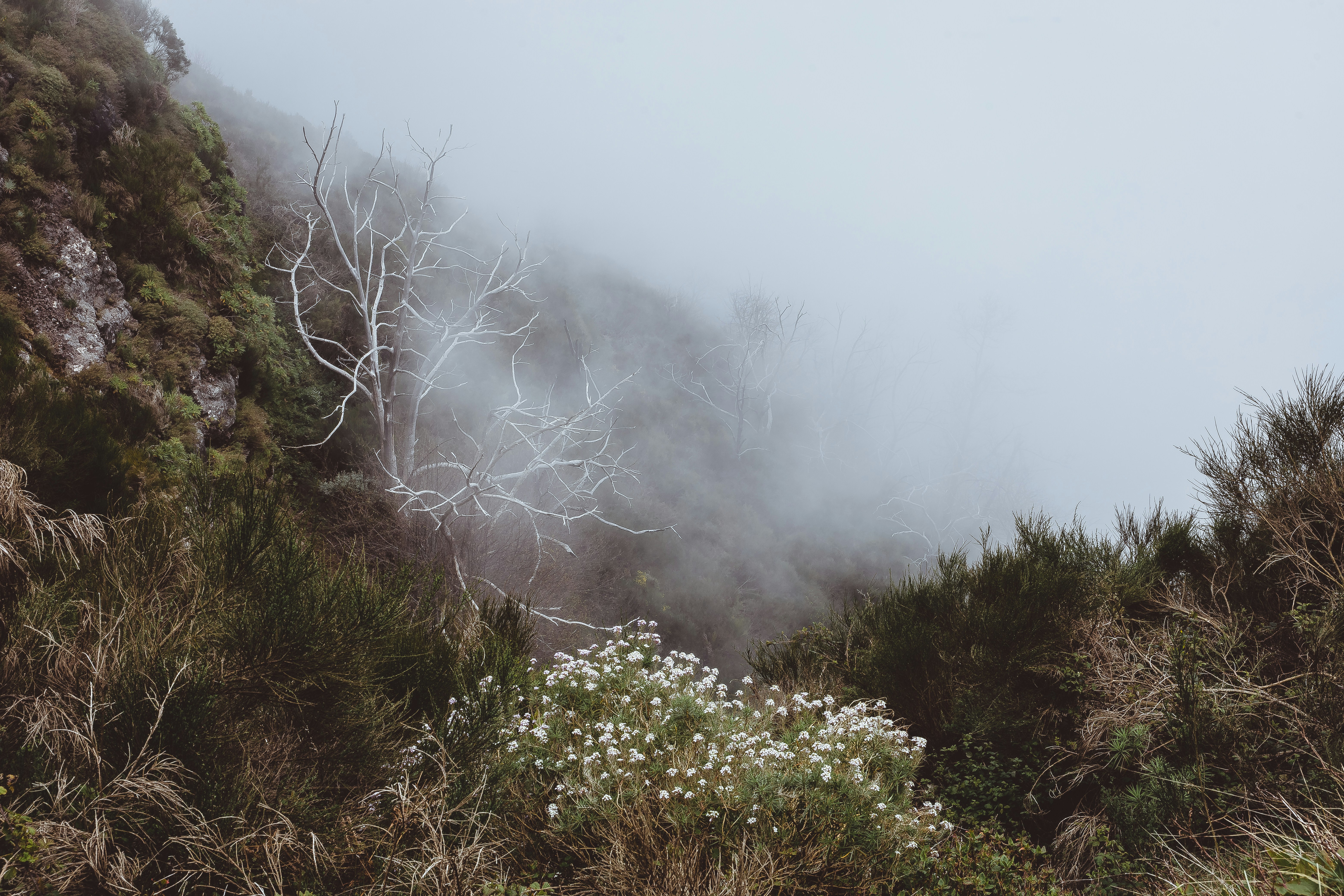 Photo by timonreinhard