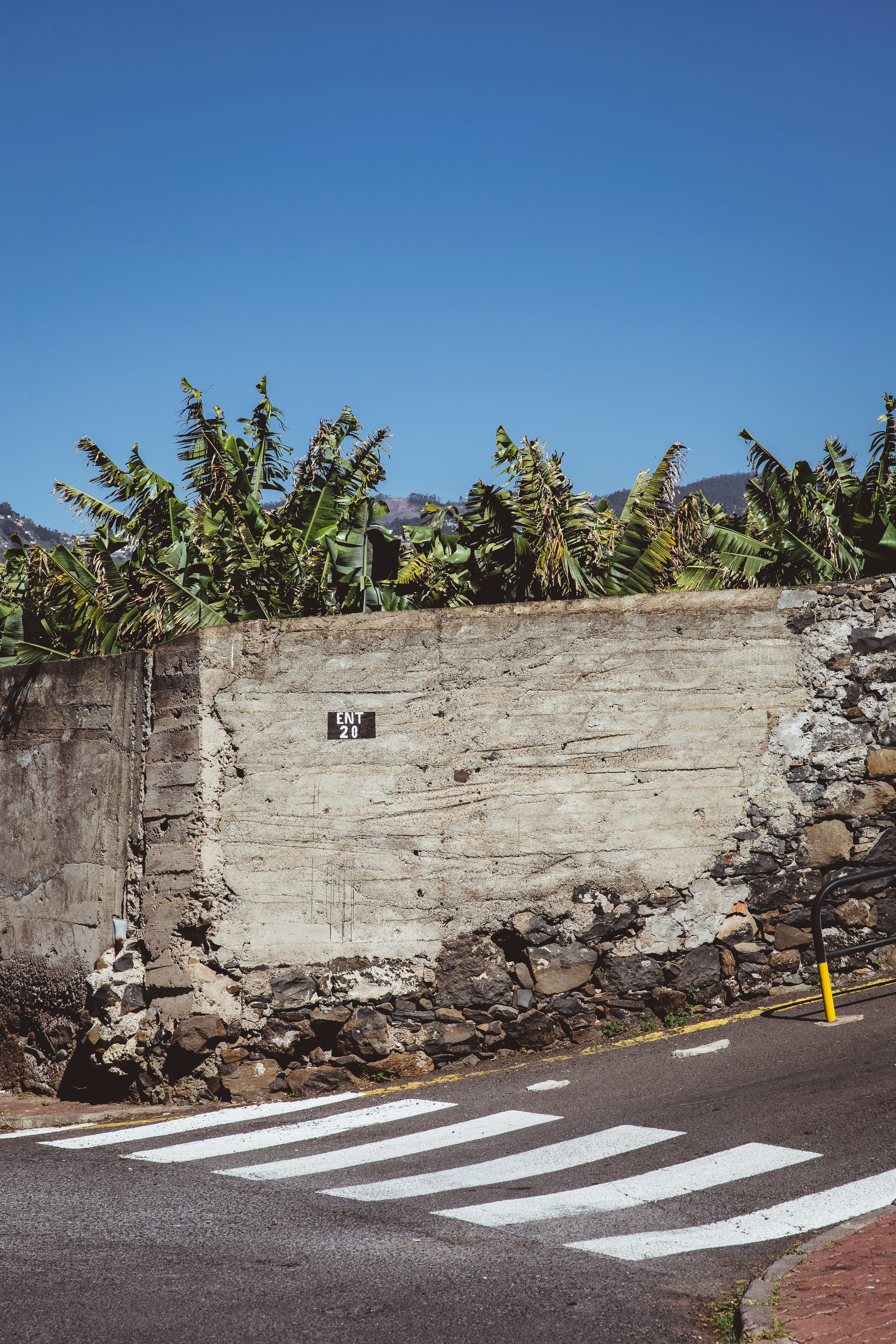 Un muro de piedra con árboles al fondo