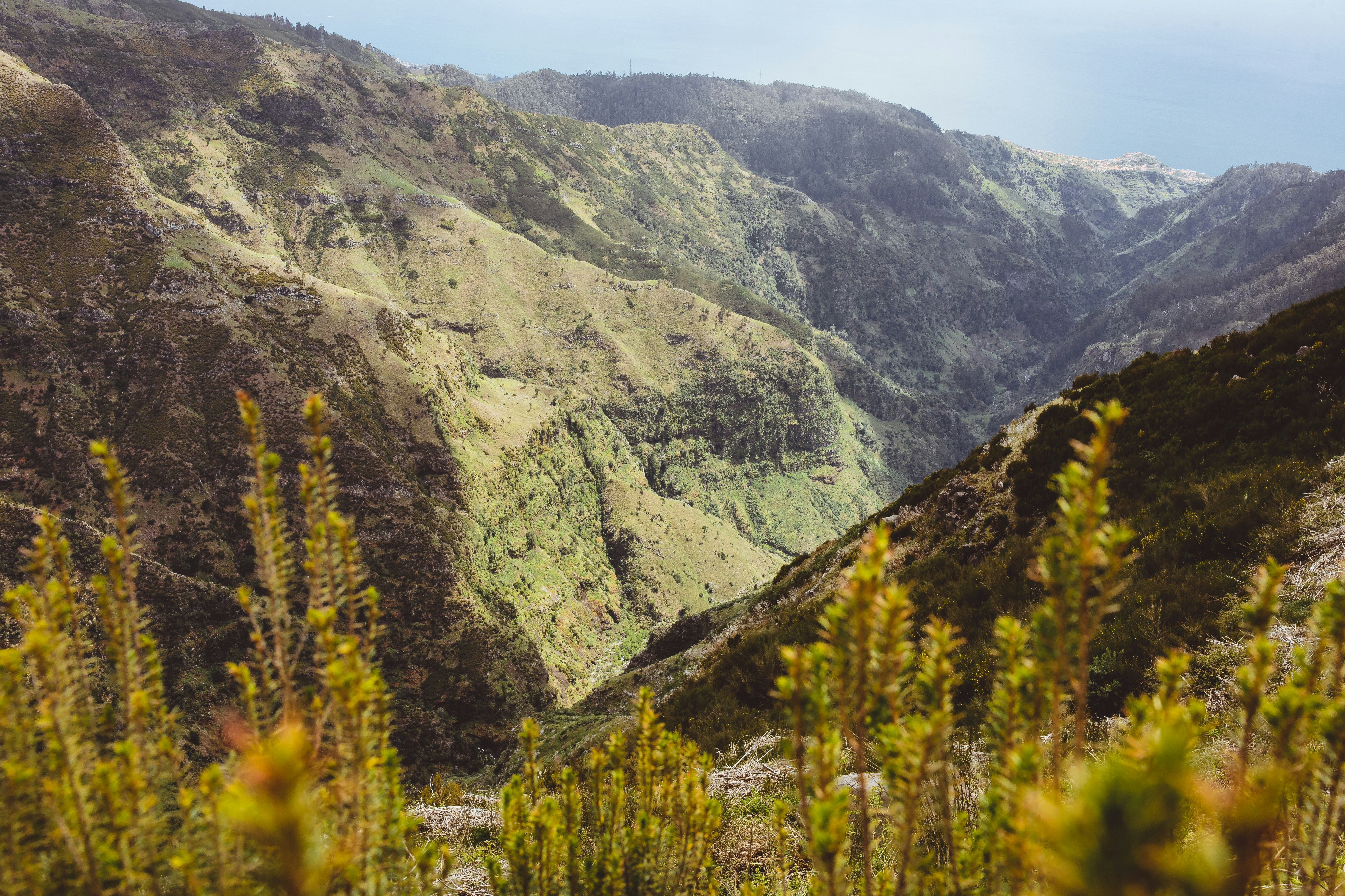 Photo by timonreinhard