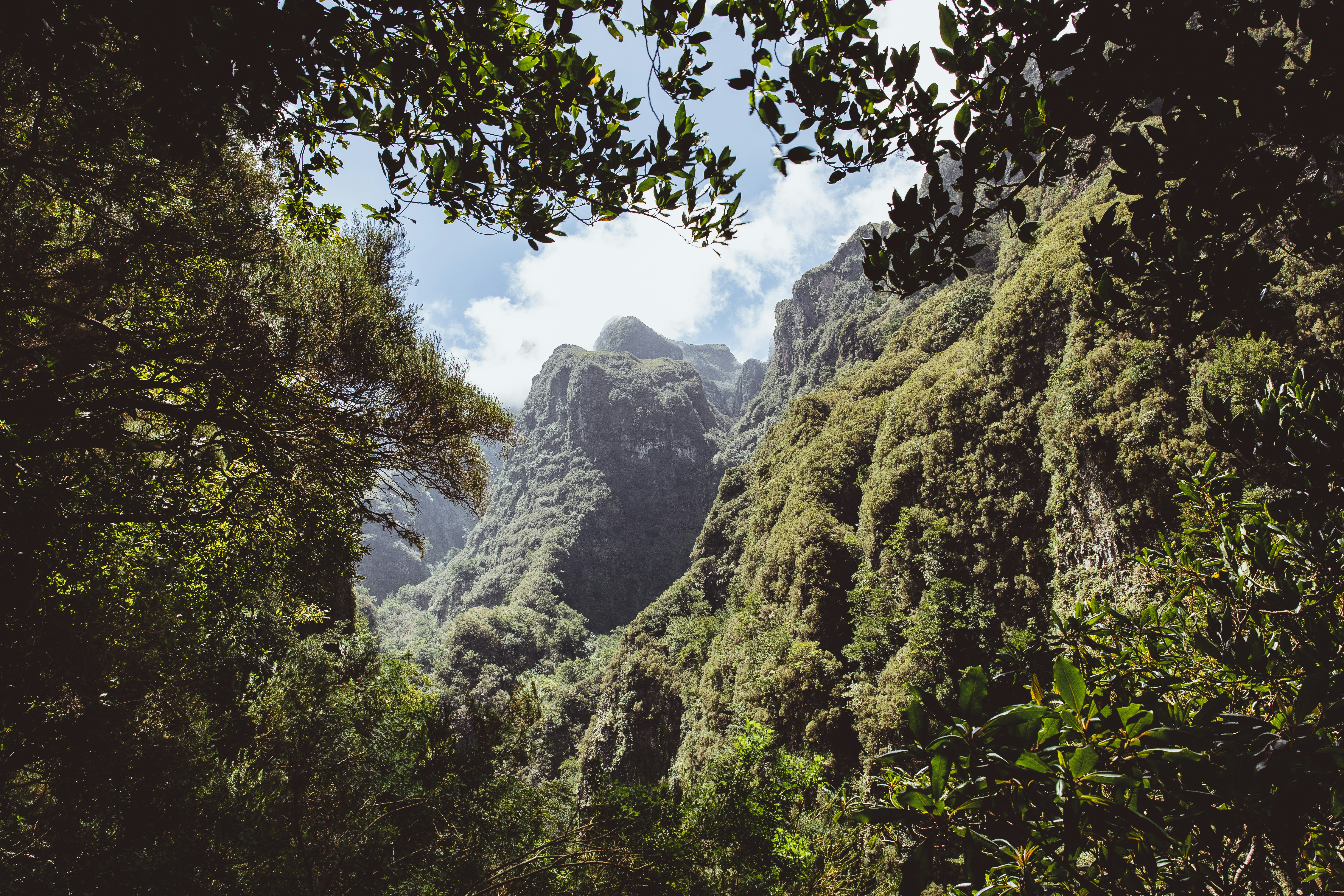 Photo by timonreinhard