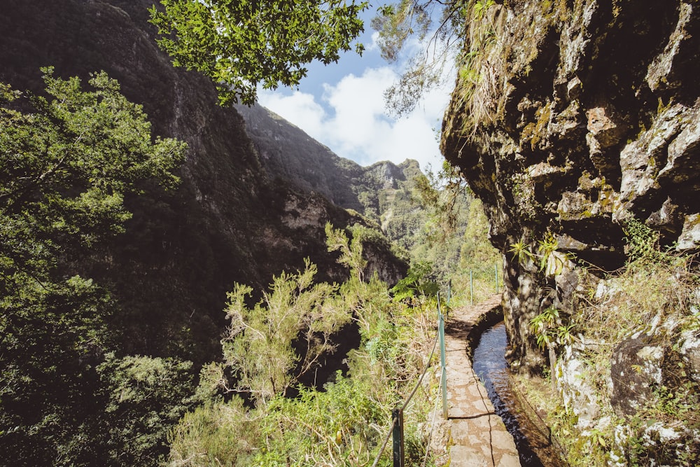 um caminho entre montanhas rochosas