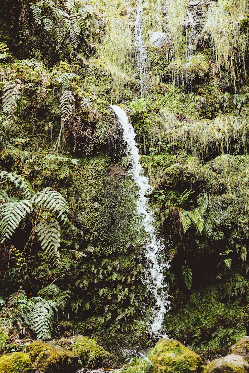 a waterfall in a forest