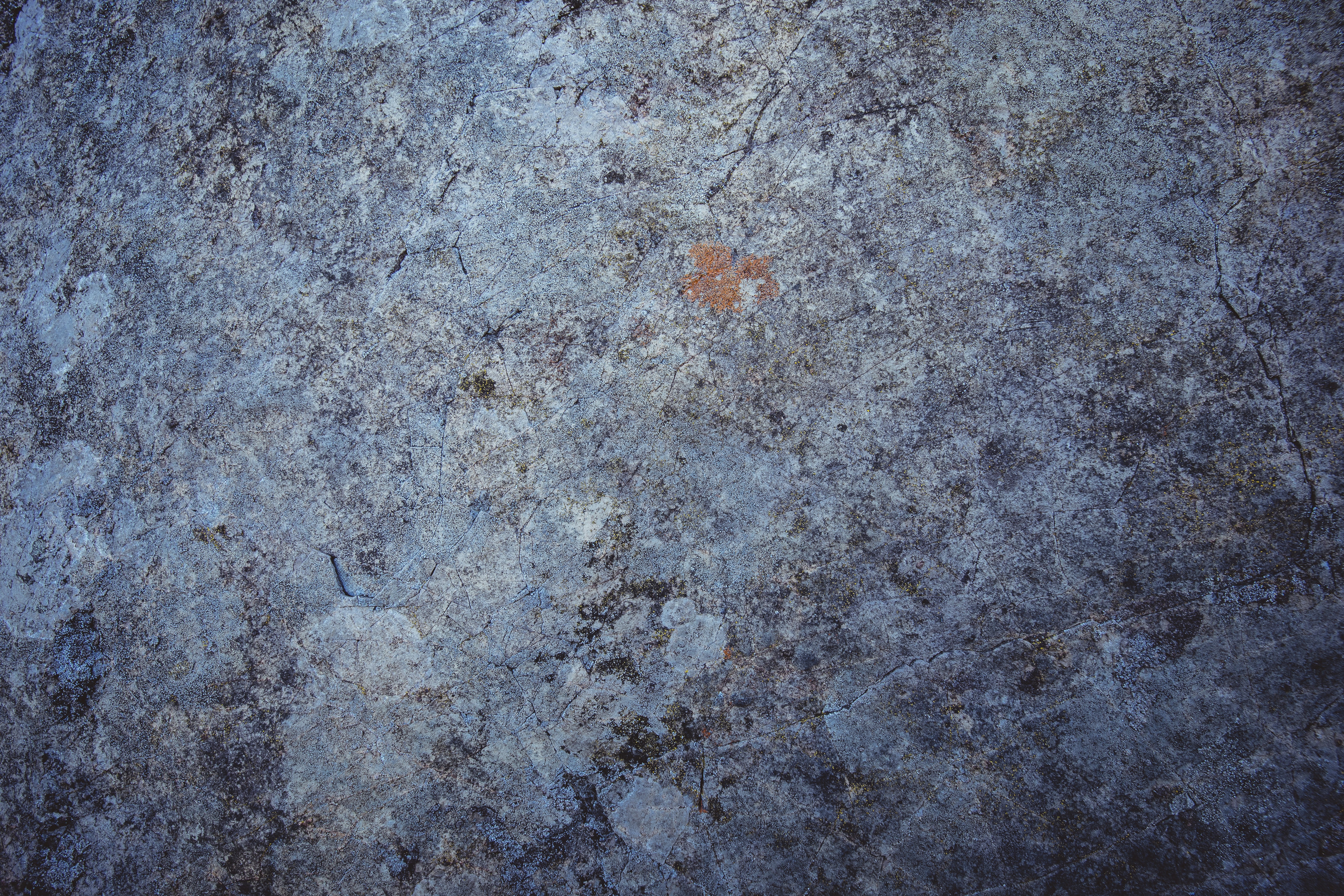 Photo by timonreinhard