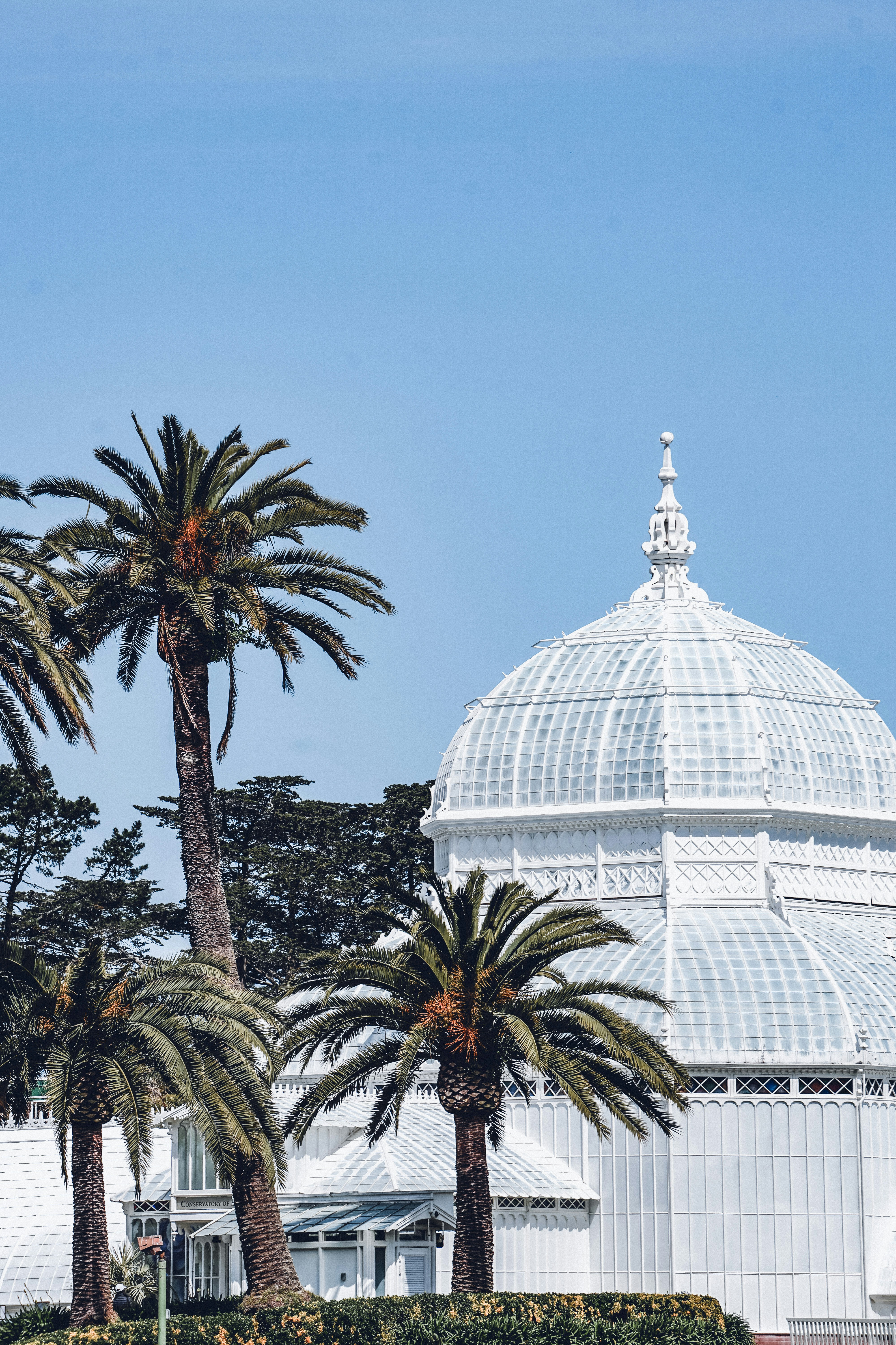 Conservatory of flowers