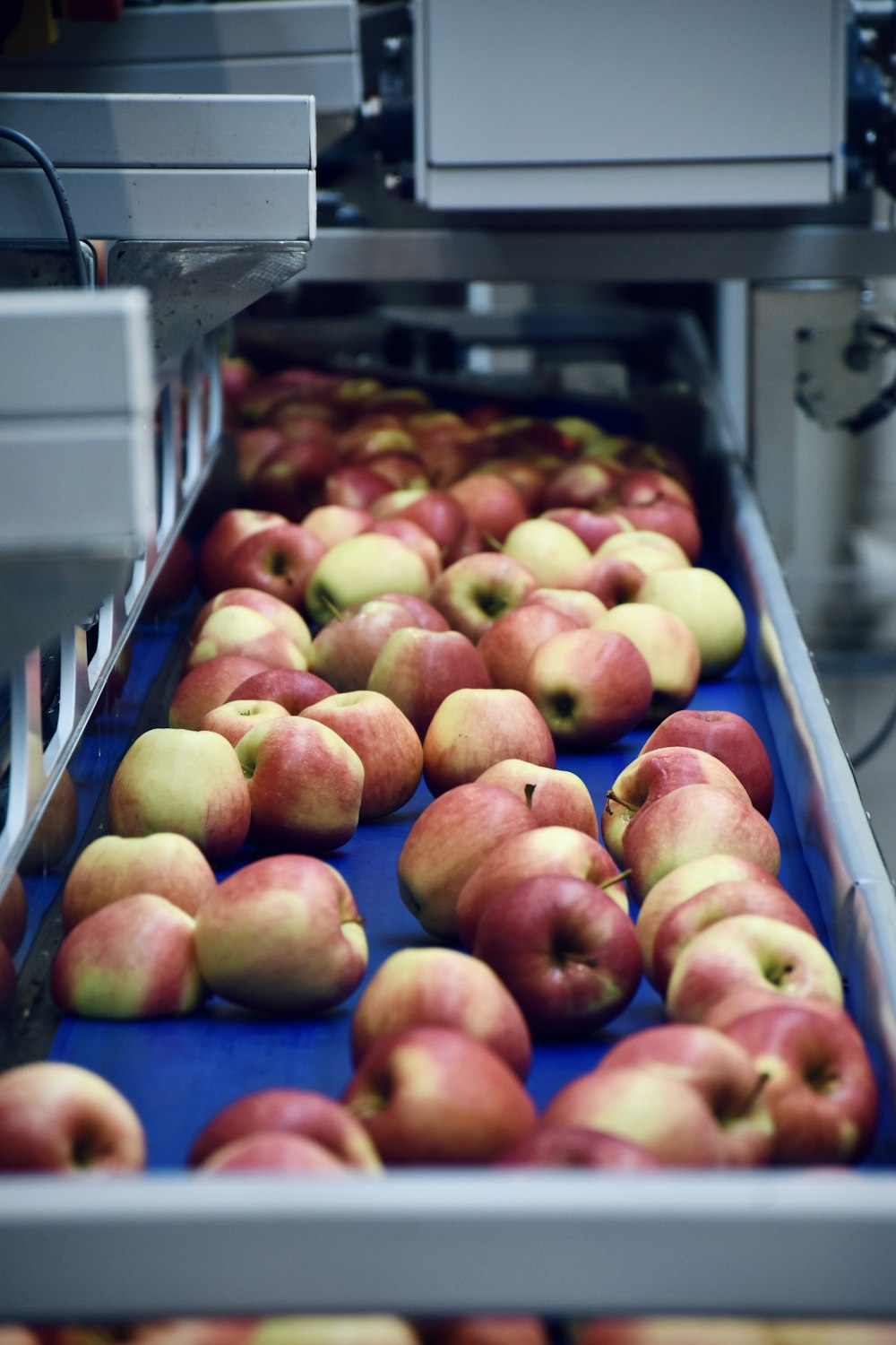 a box of apples