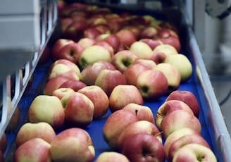 a box of apples