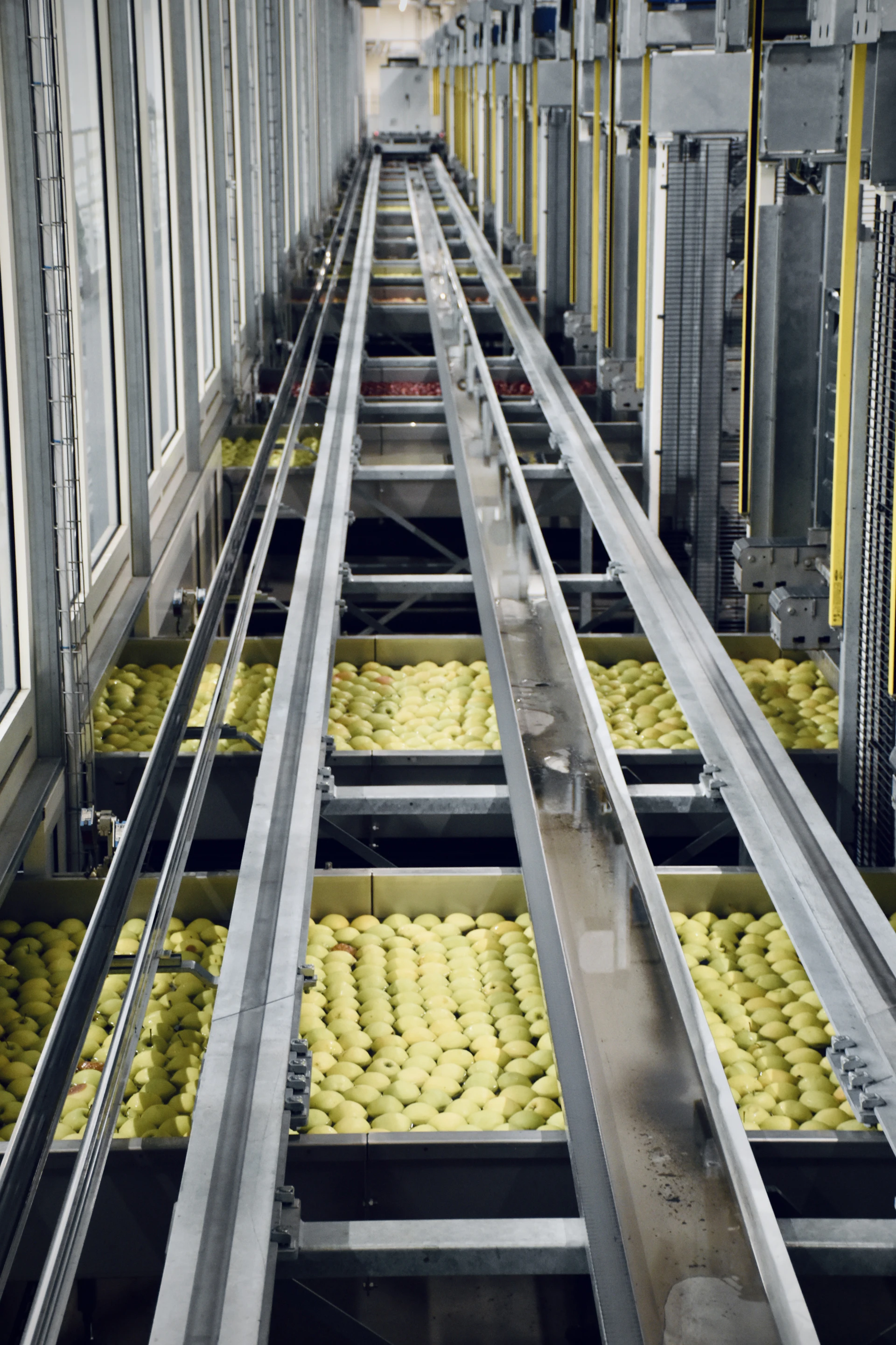 Food production line in a factory