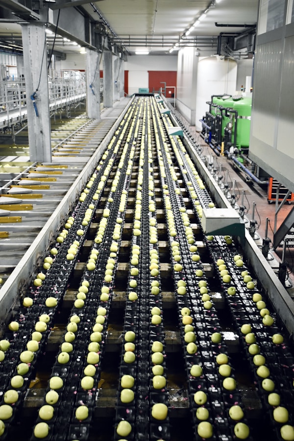 Production agroalimentaire