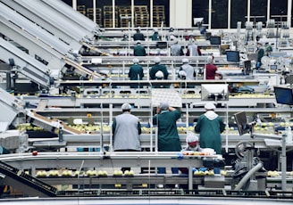 a group of people in a factory