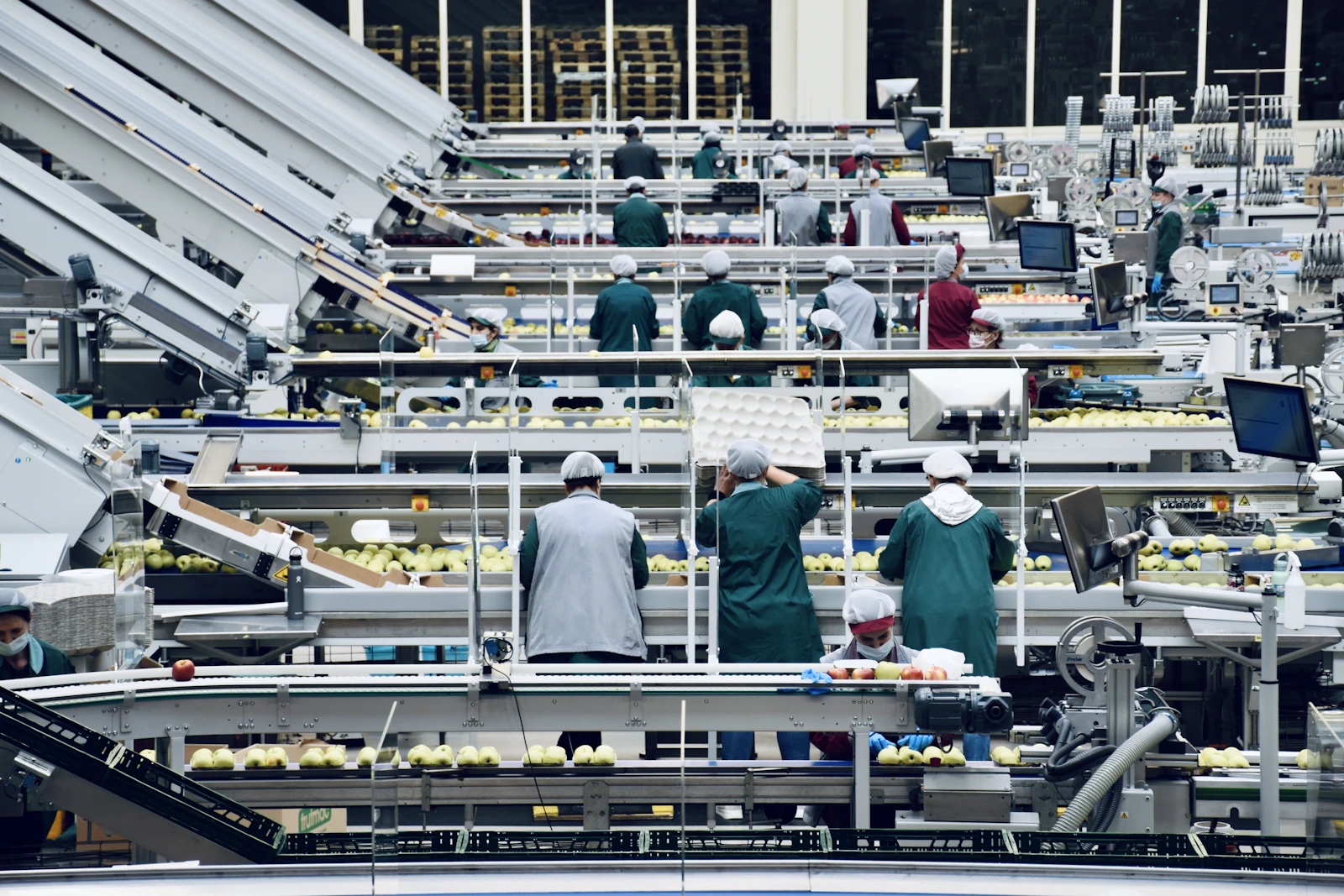 Línea industrial de procesamiento de alimentos