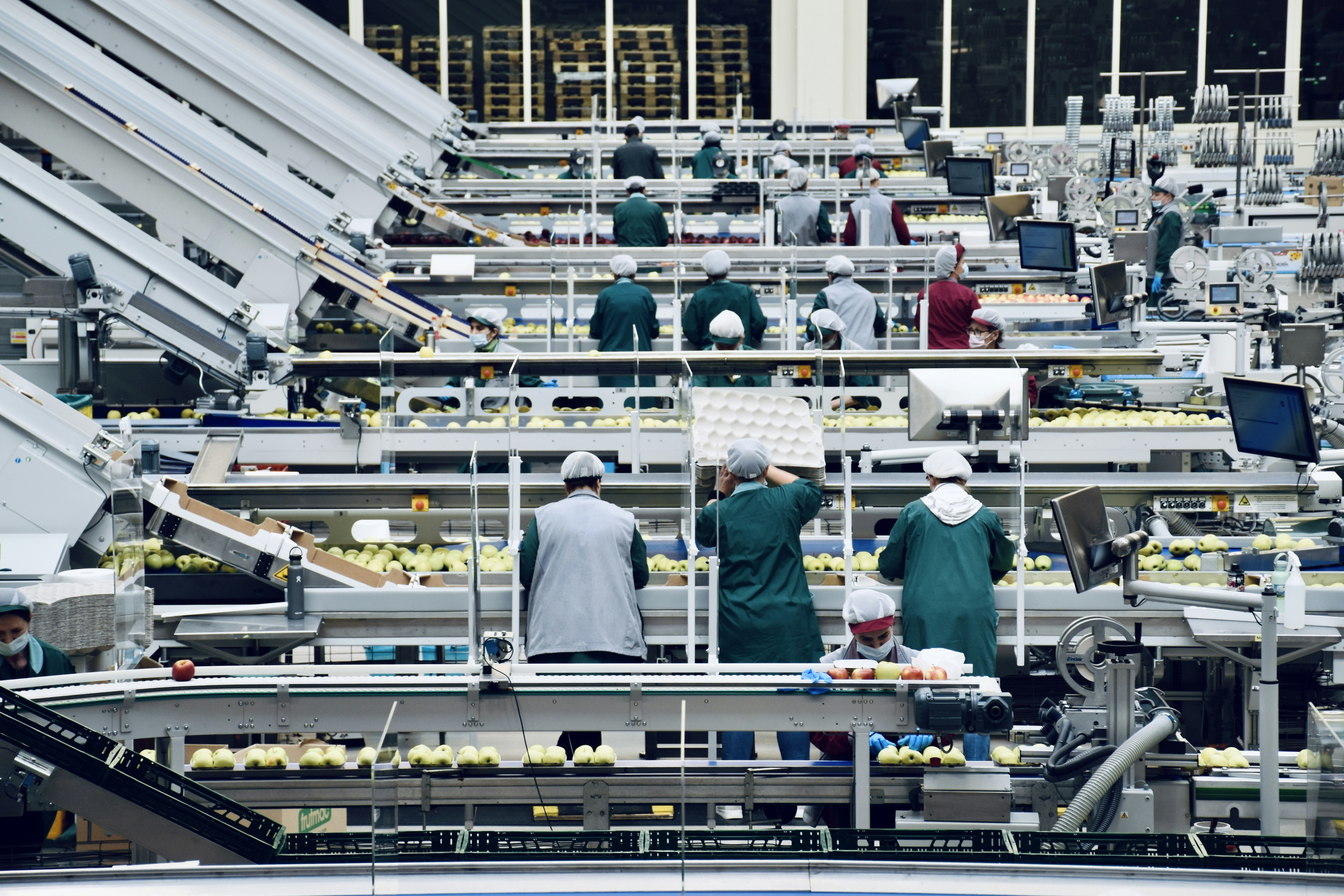 Inside an apple processing company in northern Italy