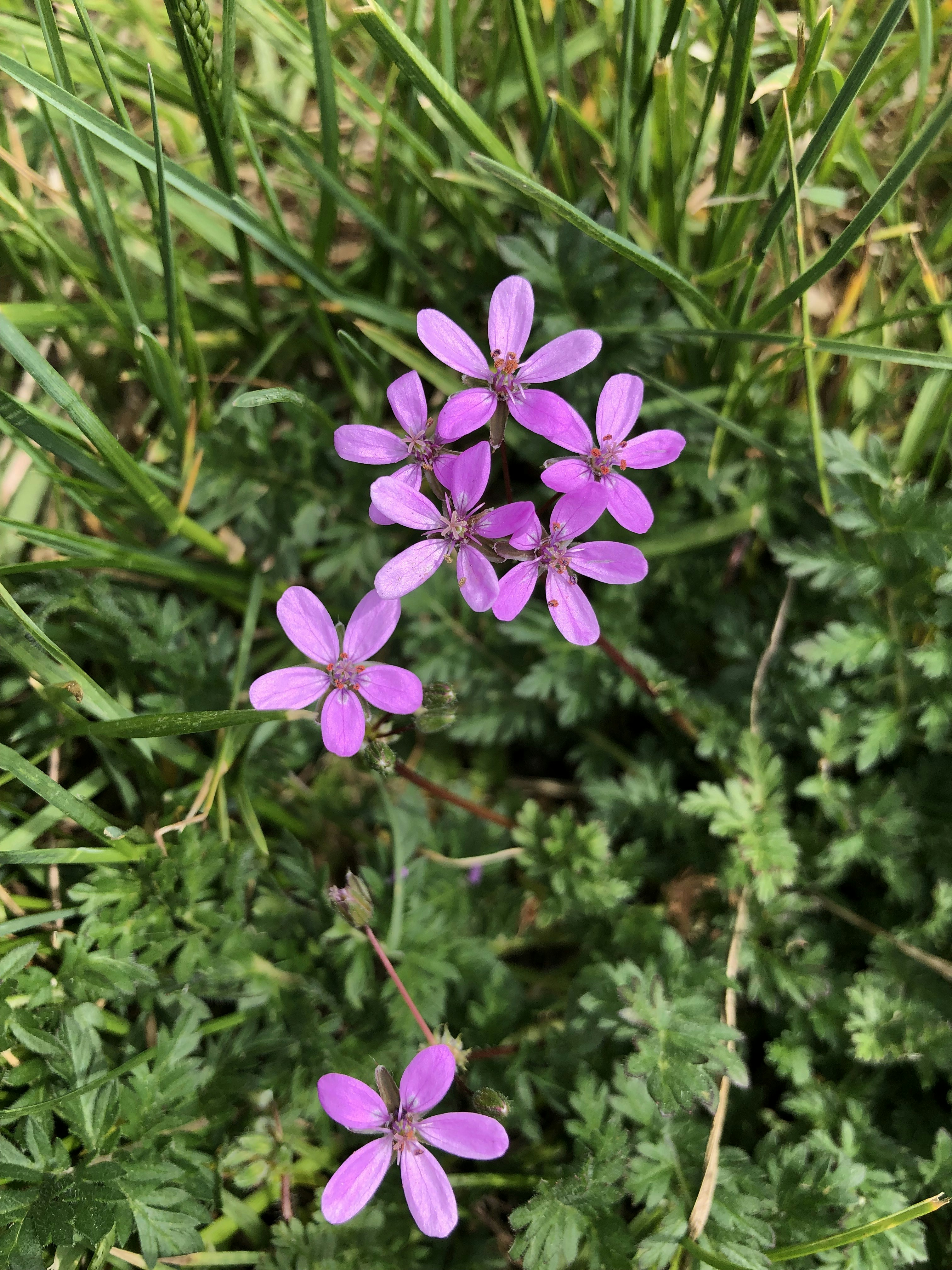 Photo by liberatetheimage