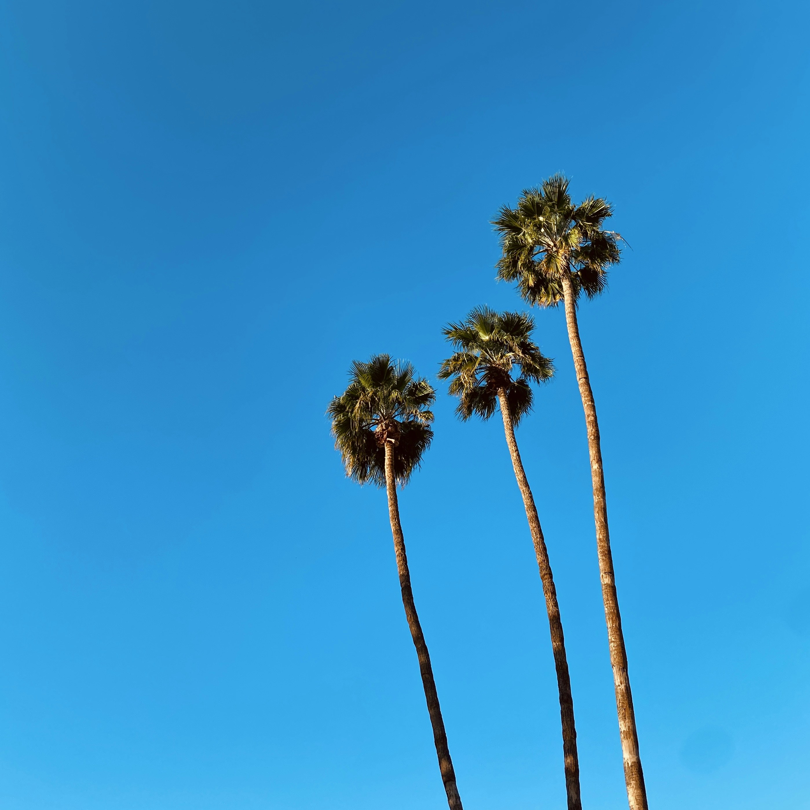 Photo by caroline_ross