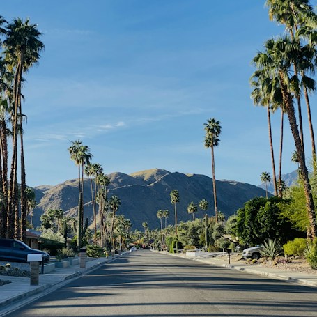 A wide street lined with tall palm trees leads towards a range of mountains in the background. The sky is clear and blue, and the street is bordered by well-maintained sidewalks and houses. The scene is bathed in sunlight, casting shadows and creating a bright, inviting atmosphere.