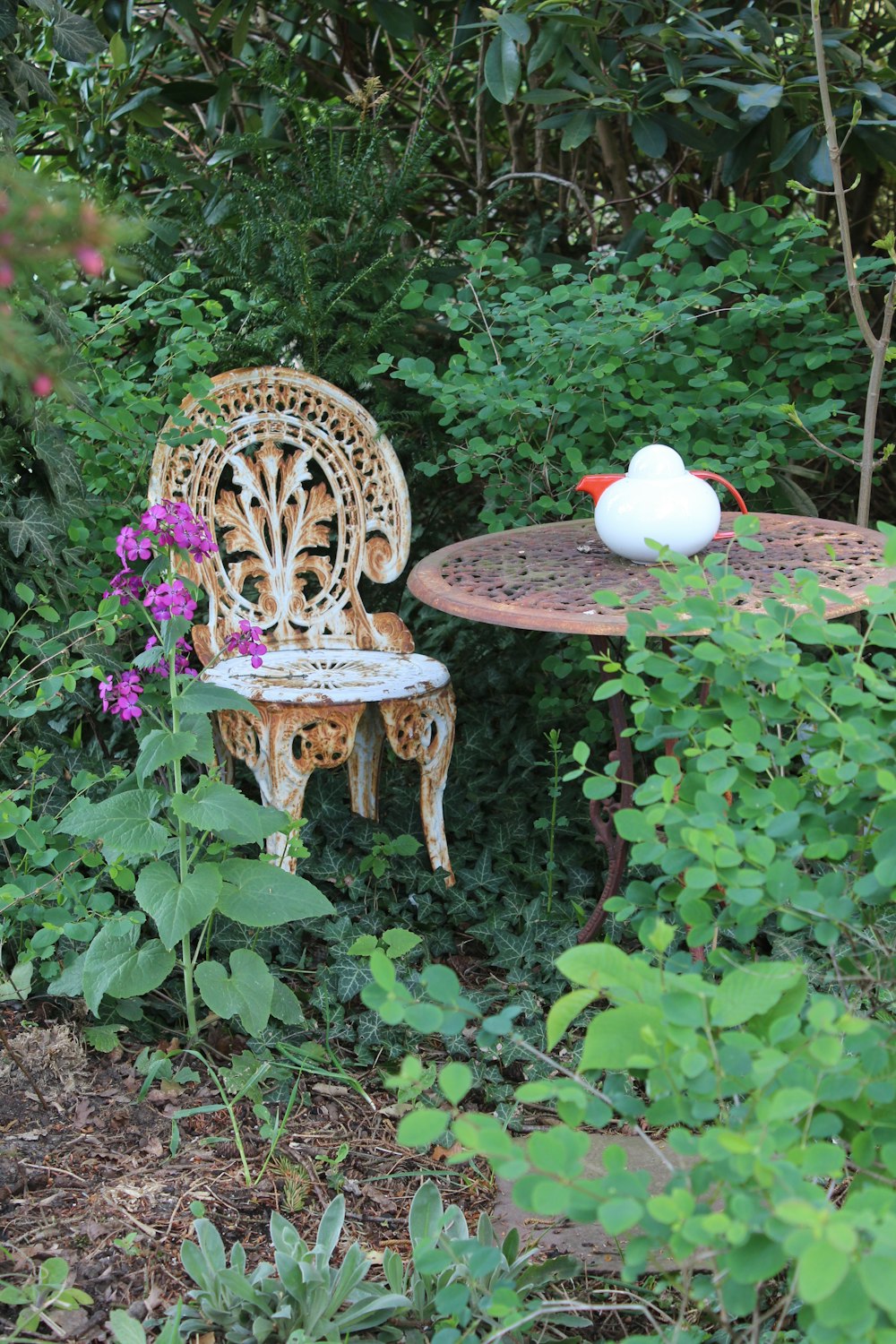 a chair and a table in a garden