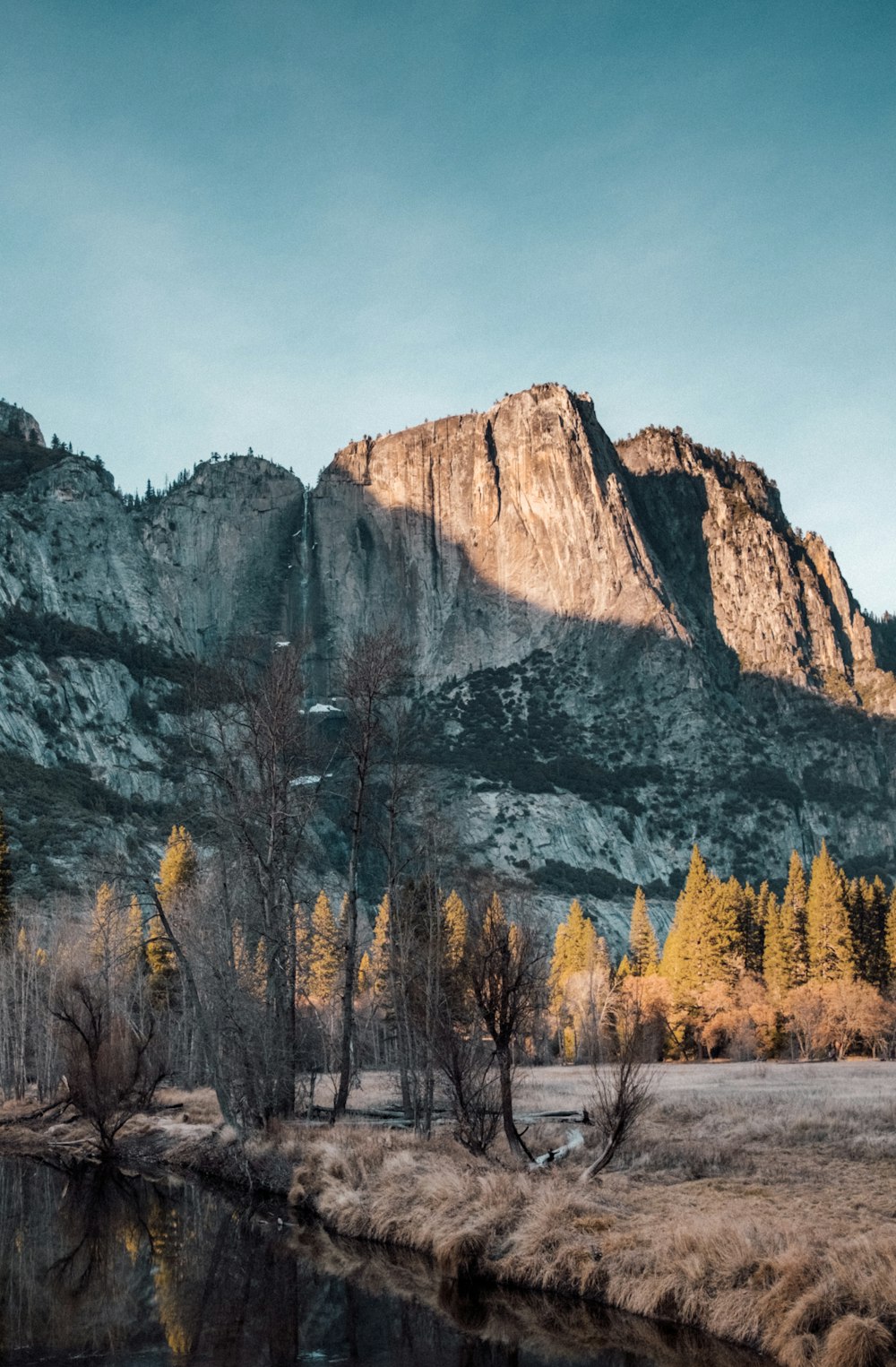 a landscape with trees and mountains in the back