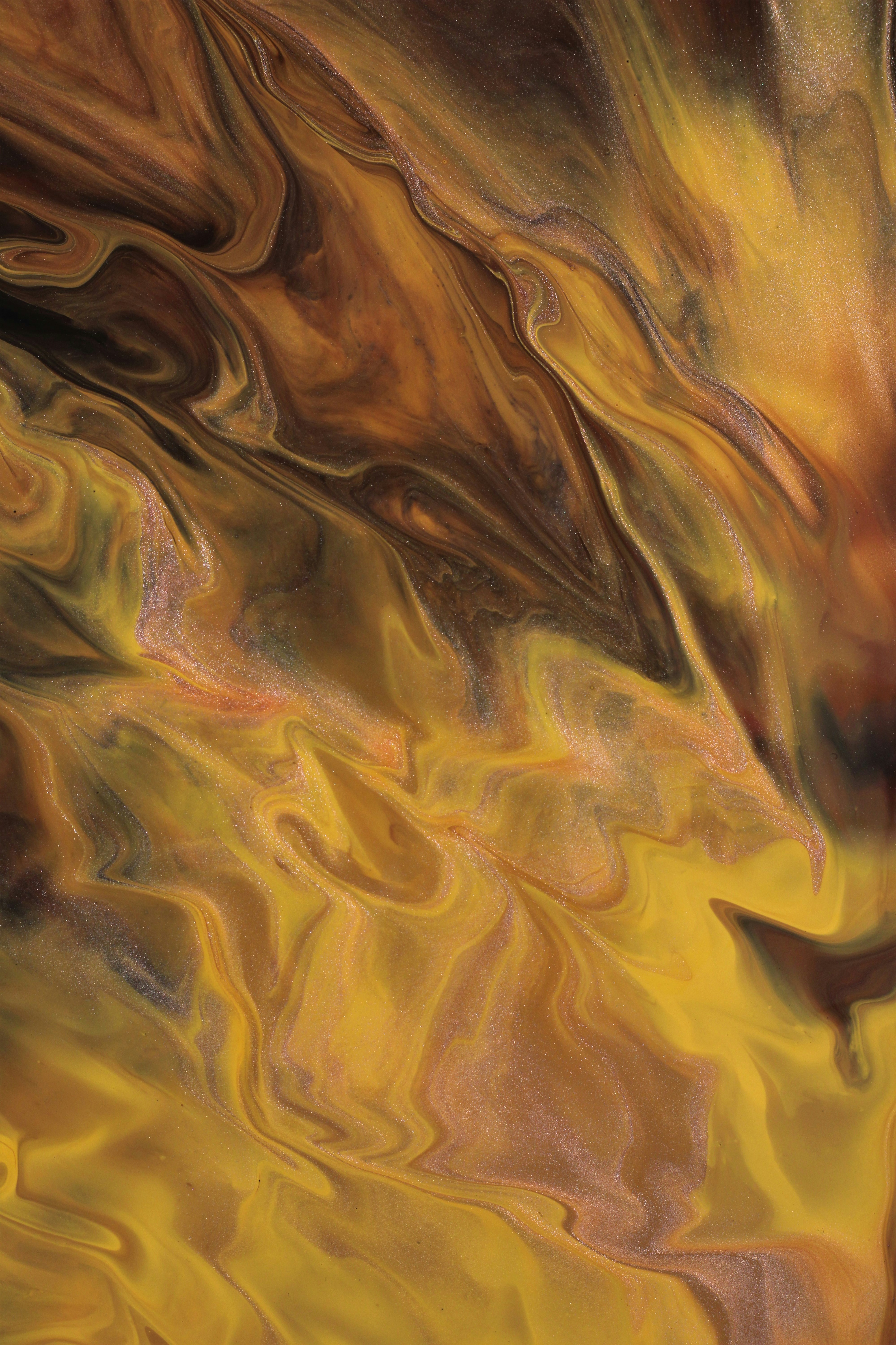 Photo by susan_wilkinson