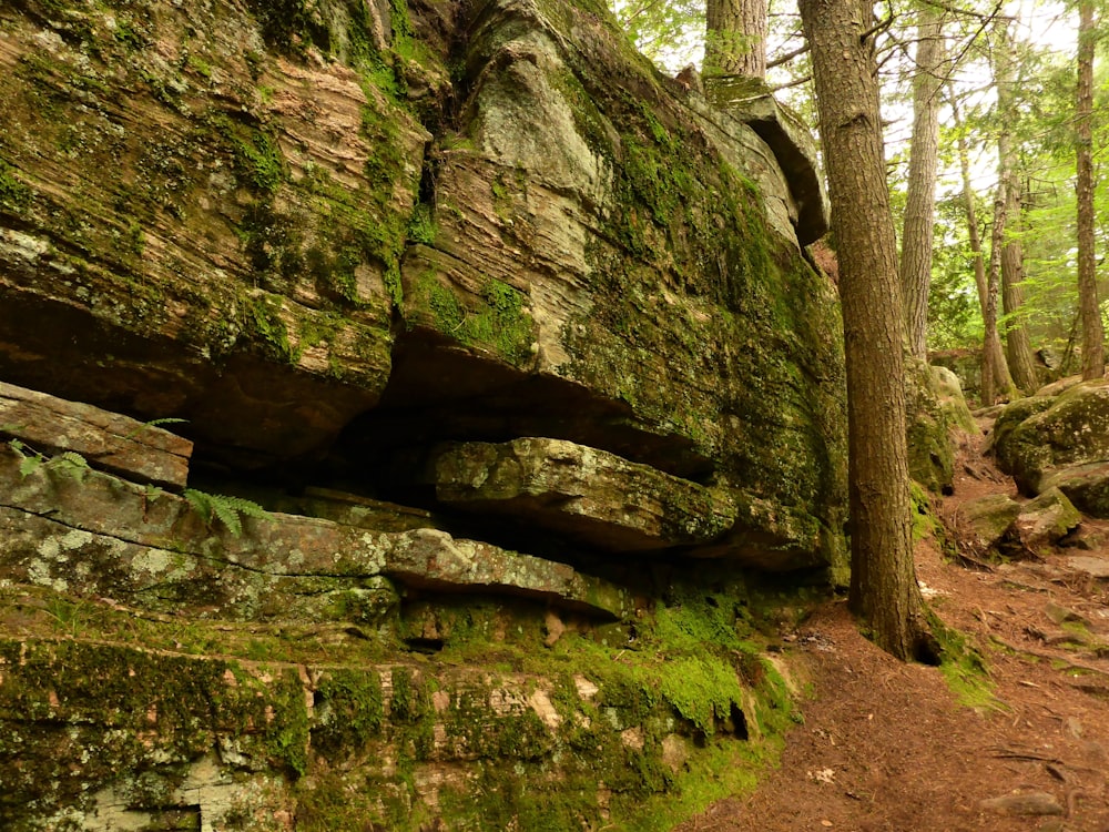 a large rock formation in the woods