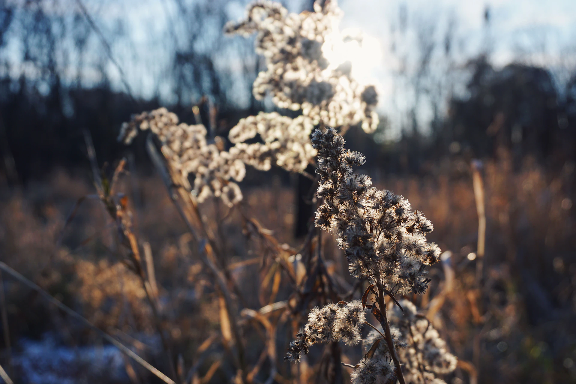 woman wearing yellow long-sleeved dress under white clouds and blue sky during daytime