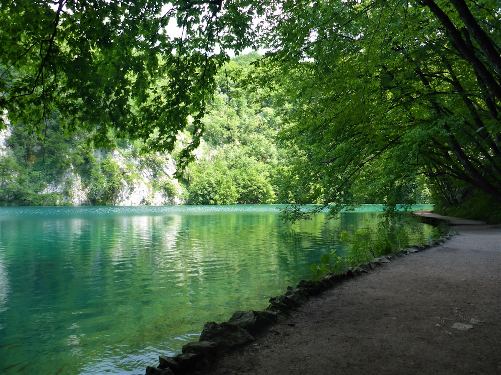 a body of water with trees around it