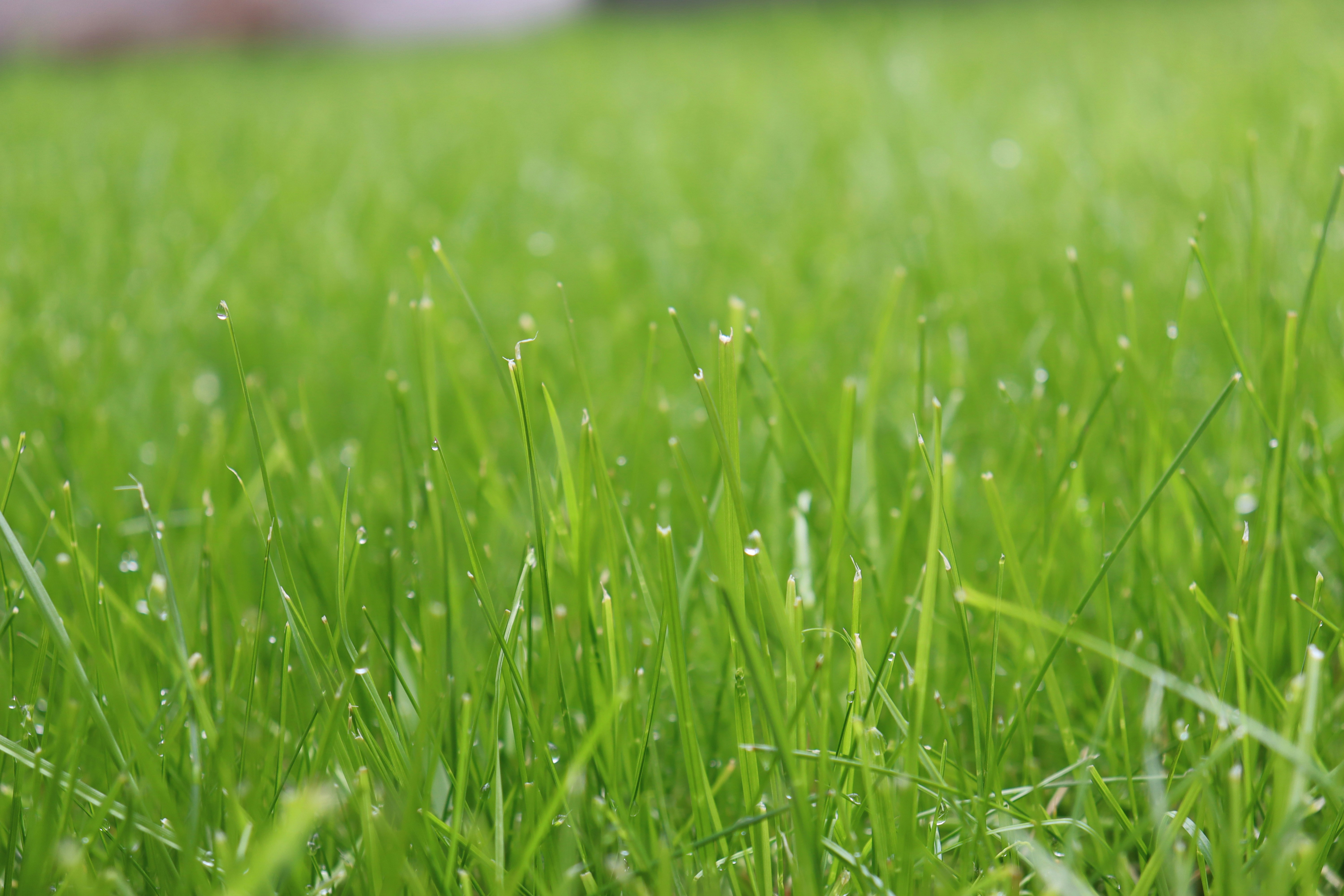 Photo by jibinpmathew787