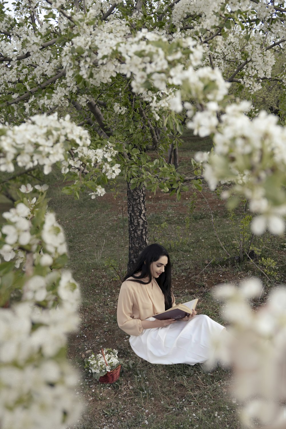 a person sitting under a tree