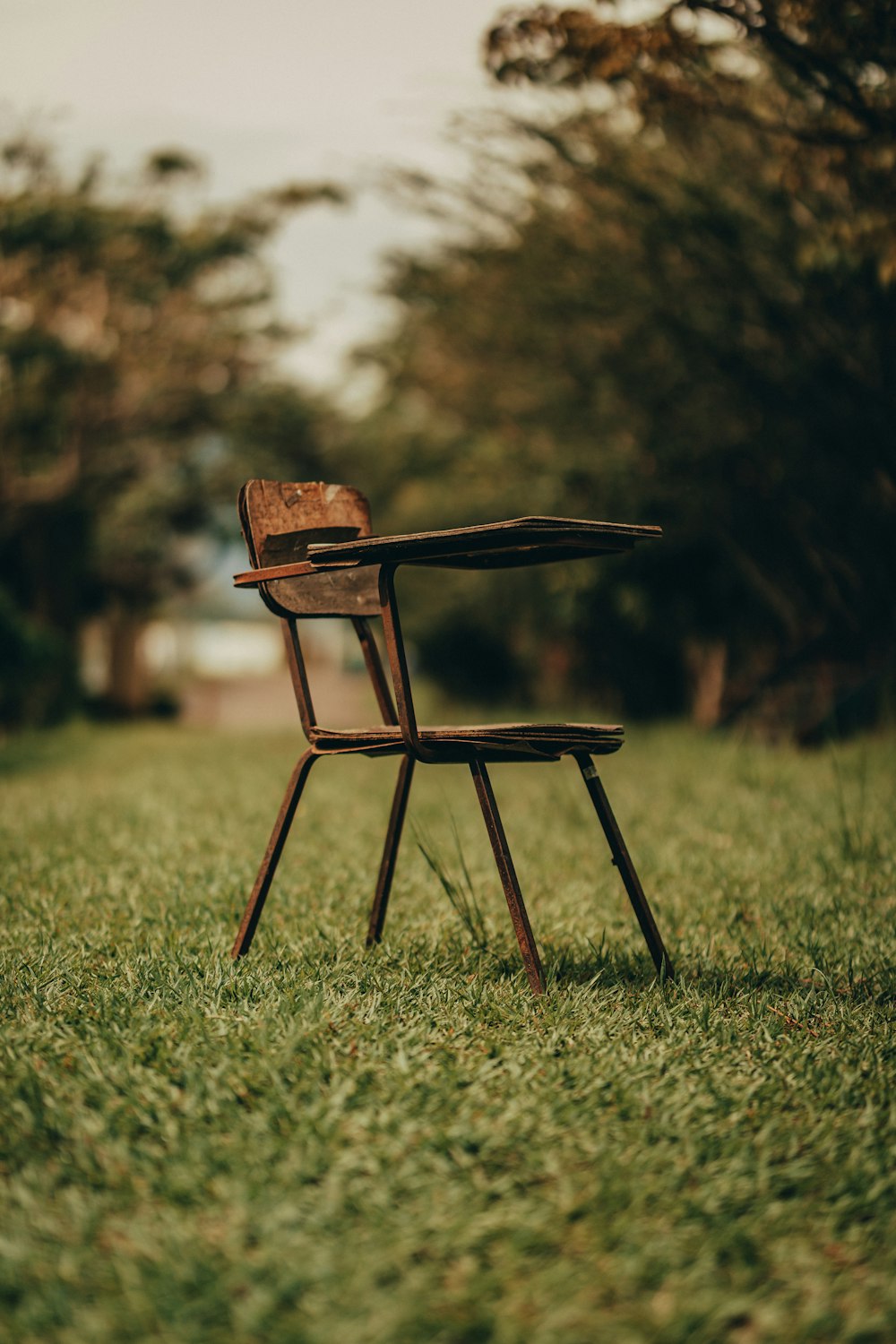 a chair in a grassy area